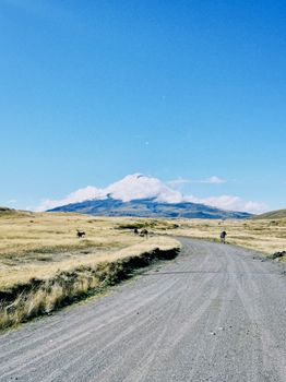 Nossa Primeira Viagem ao Equador: Roteiro - imagem 3