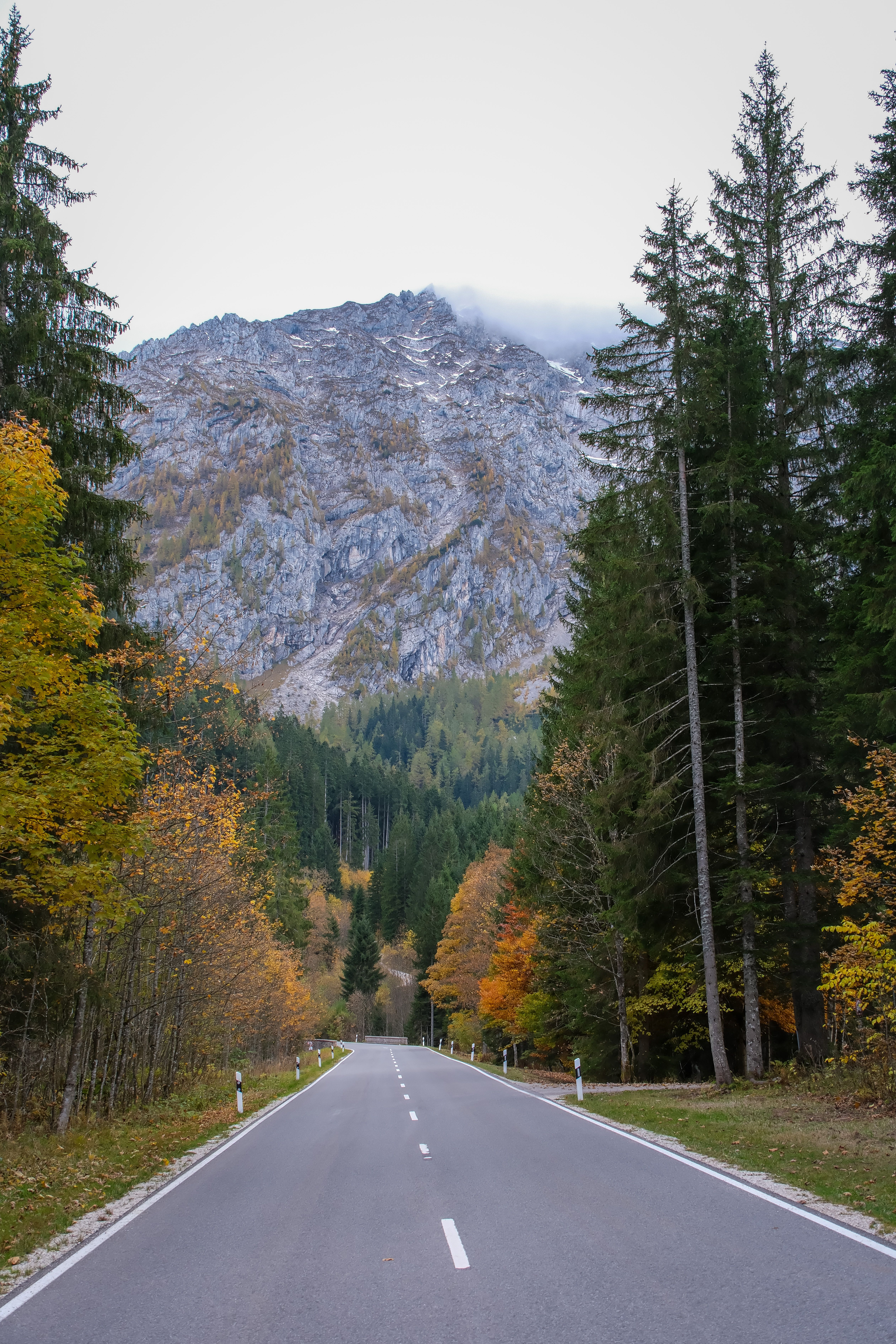 A picturesque view of an empty road leading to the Bavarian mountains in fall.