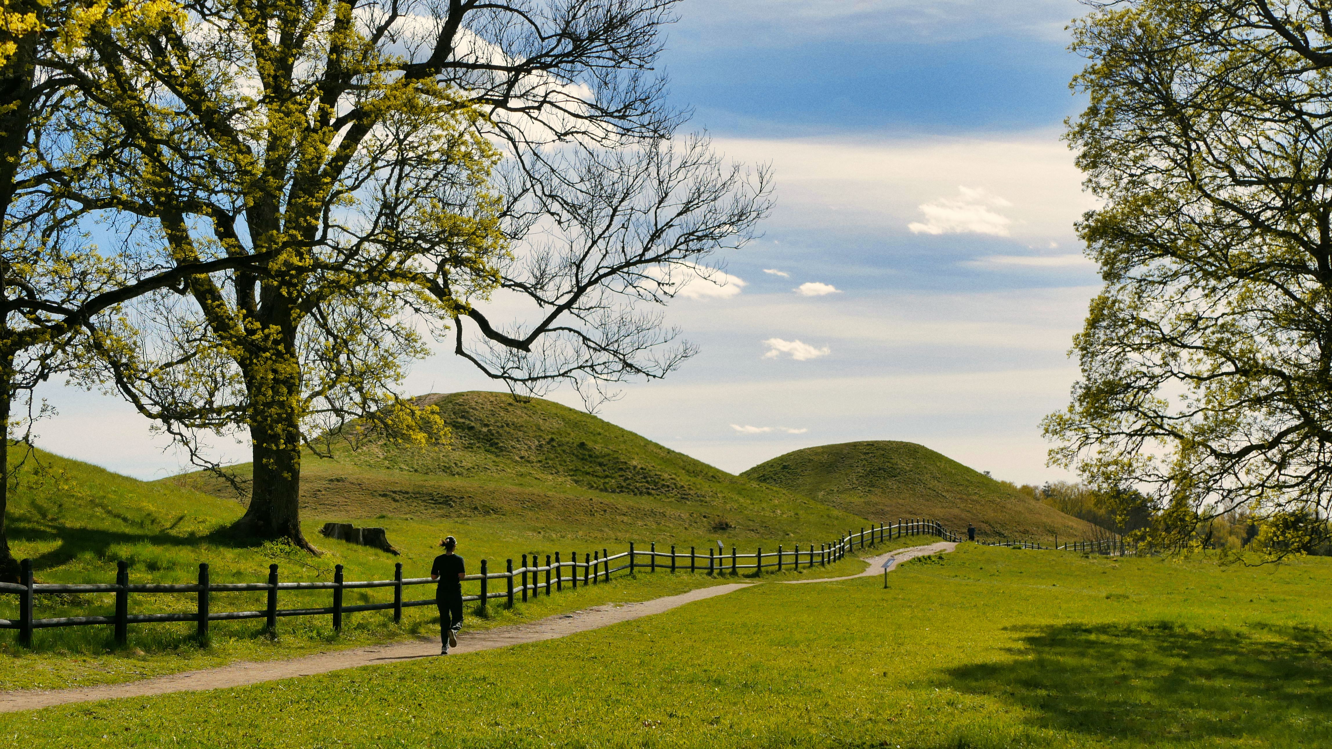 Scenic Spring Landscape with Pathway in Sweden · Free Stock Photo