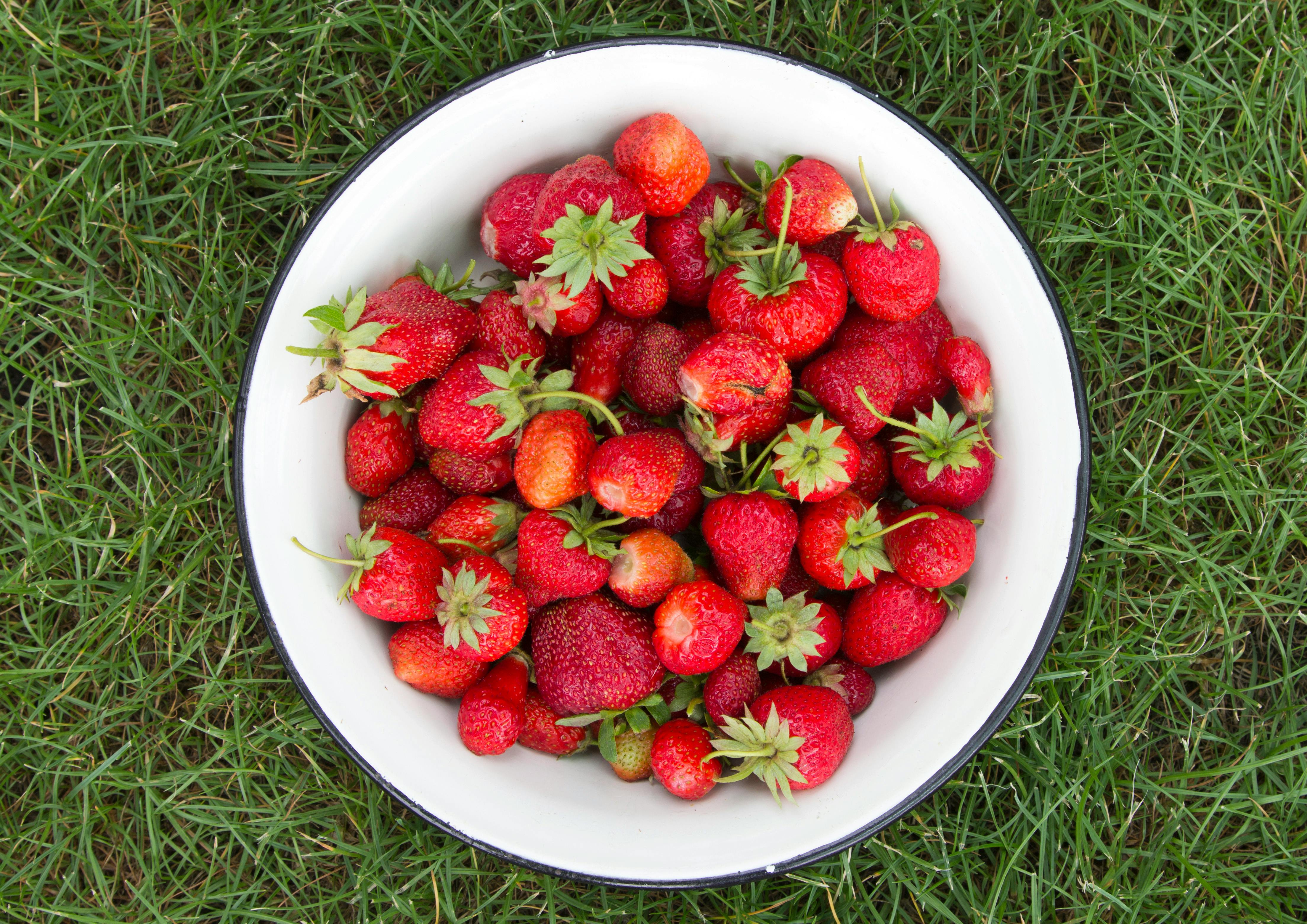 生技食品公司推全方位營養補充，守護兒少健康生活習慣