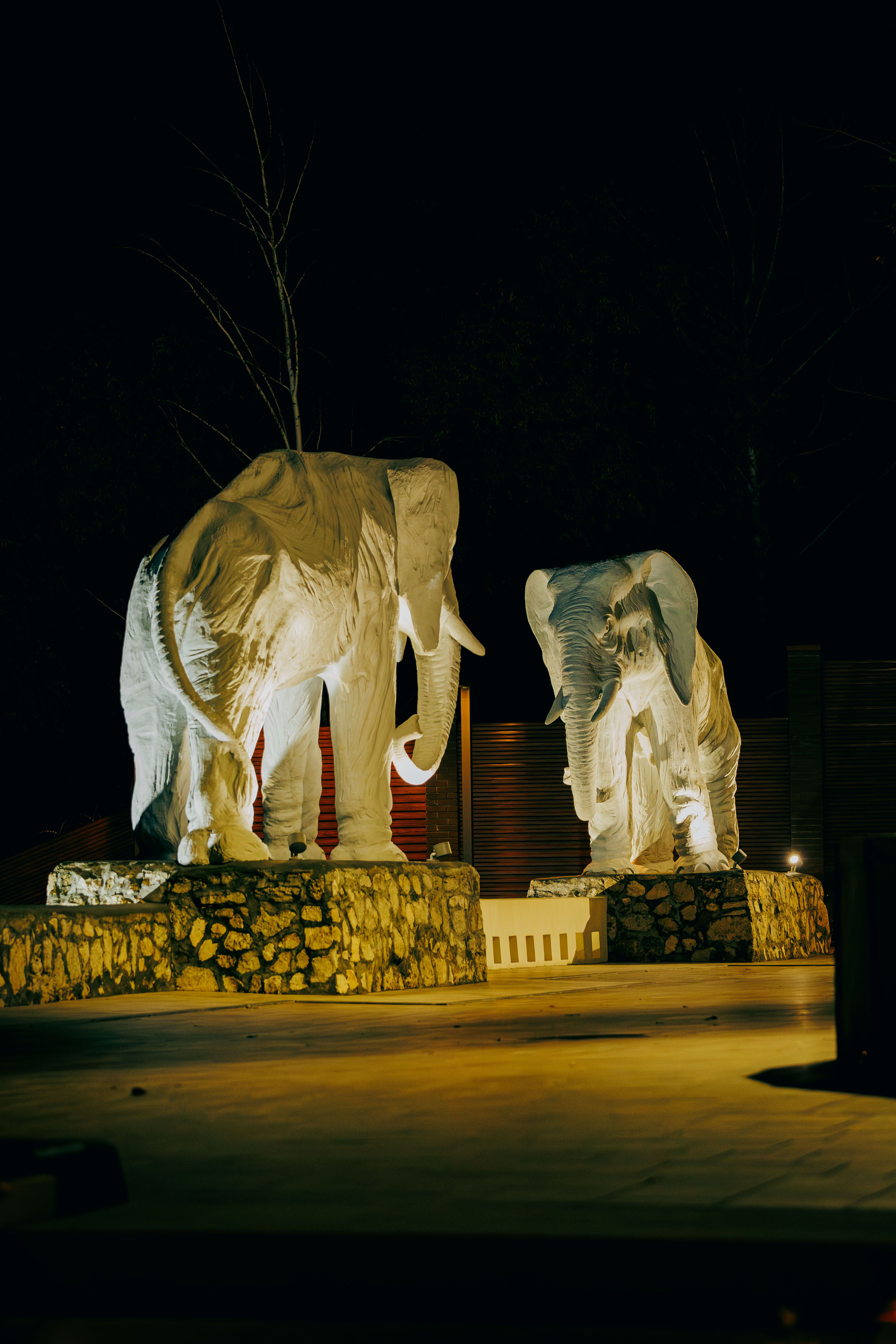 Two mesmerizing elephant statues illuminated against a dark night backdrop.