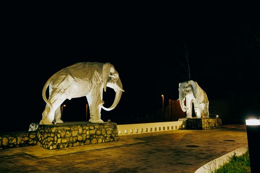 Two white elephant statues beautifully lit up in a dark outdoor setting, creating a dramatic nighttime scene.