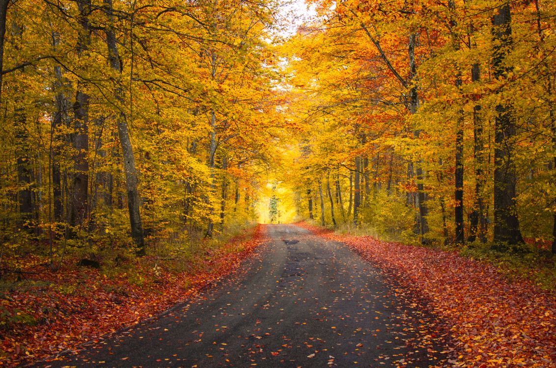 Autumn Weather Travel Guide: Best Destinations for Spectacular Fall Adventures