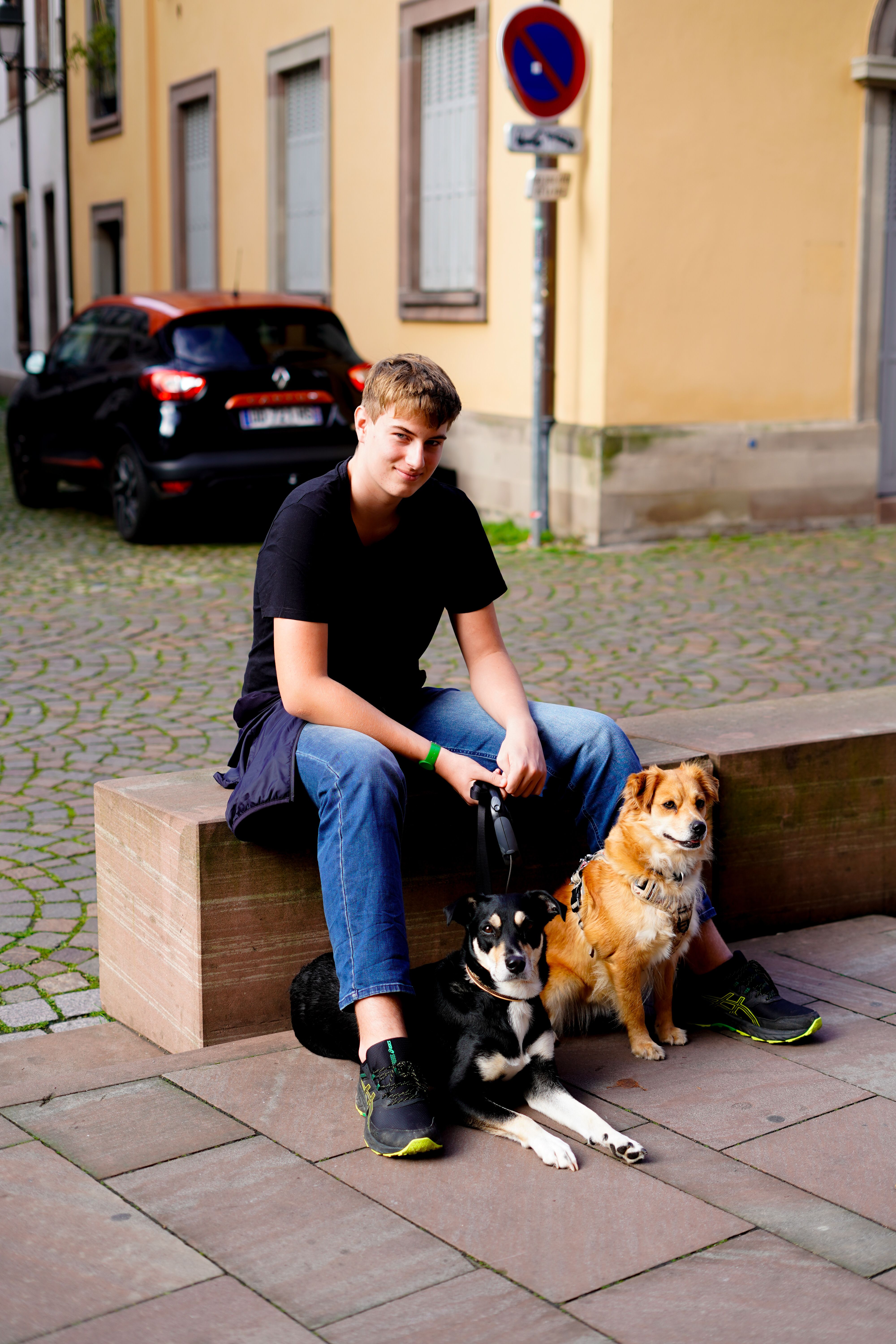 A young man sitting with two dogs on a bench in Strasbourg, France.