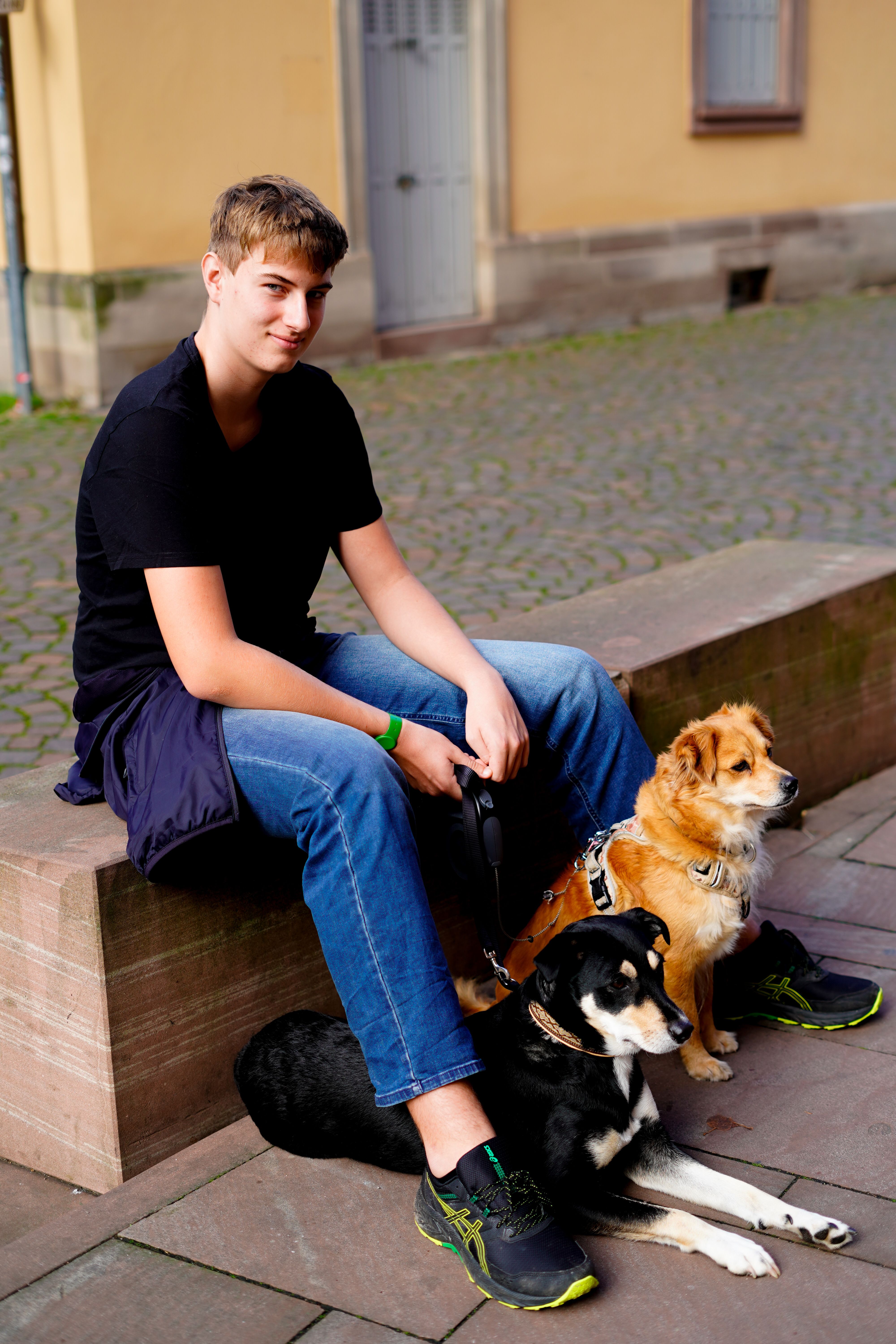Young man sitting outdoors in Strasbourg with two dogs on a stone bench, showcasing a serene moment.