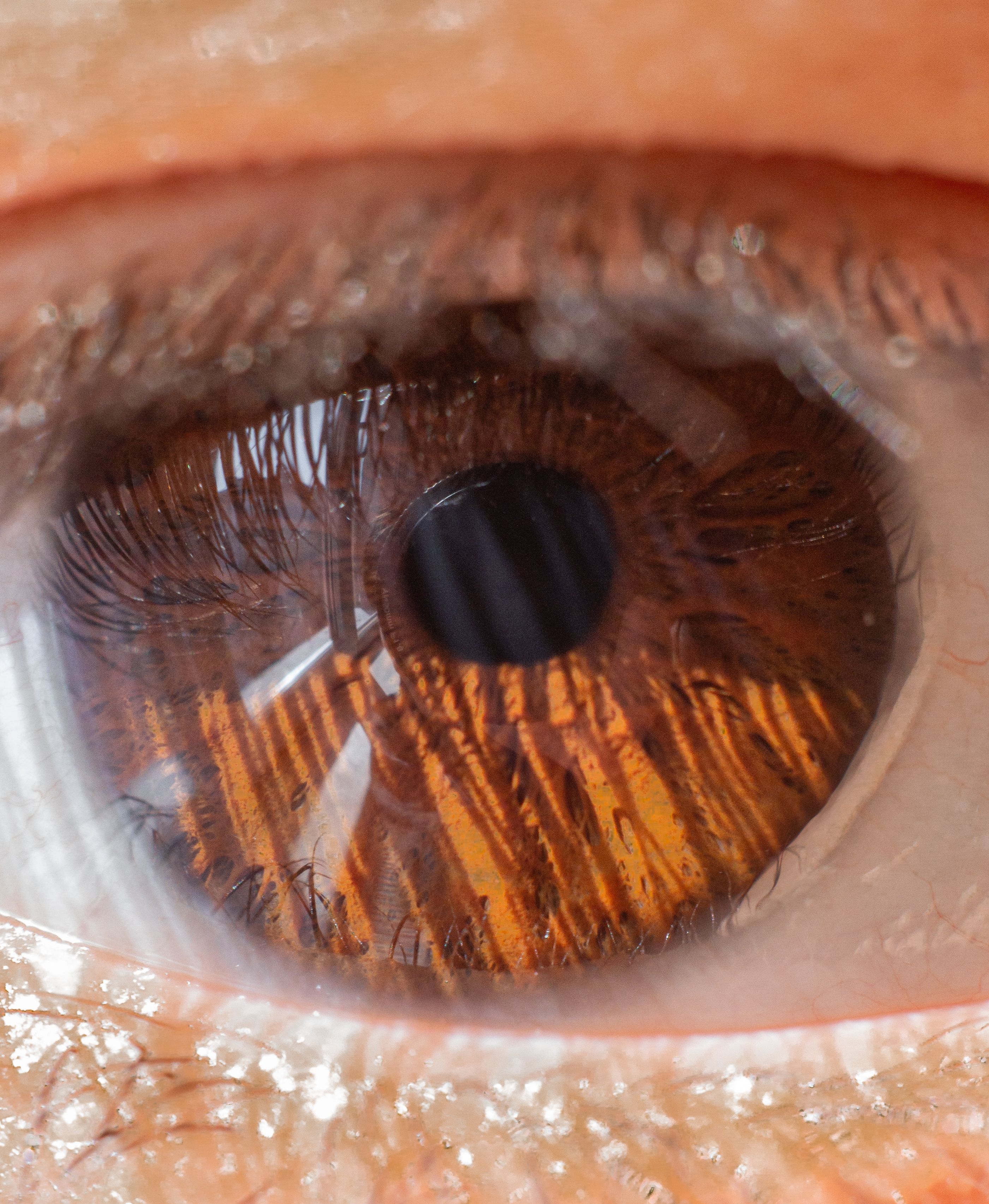 Detailed macro shot of a human eye highlighting the intricate details of the brown iris and pupil.