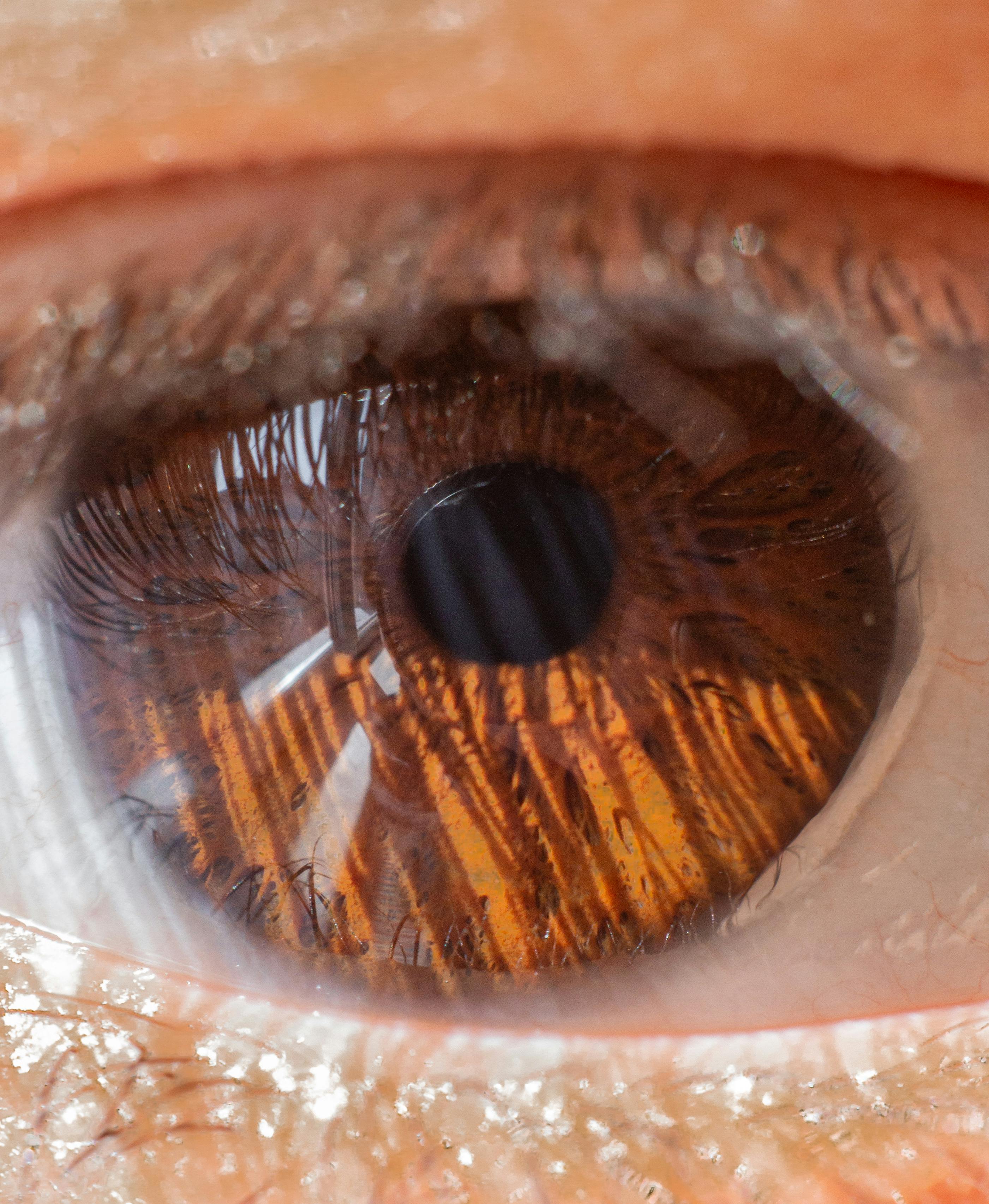 Gratuit Prise de vue macro détaillée d'un œil humain mettant en évidence les détails complexes de l'iris brun et de la pupille. Photos