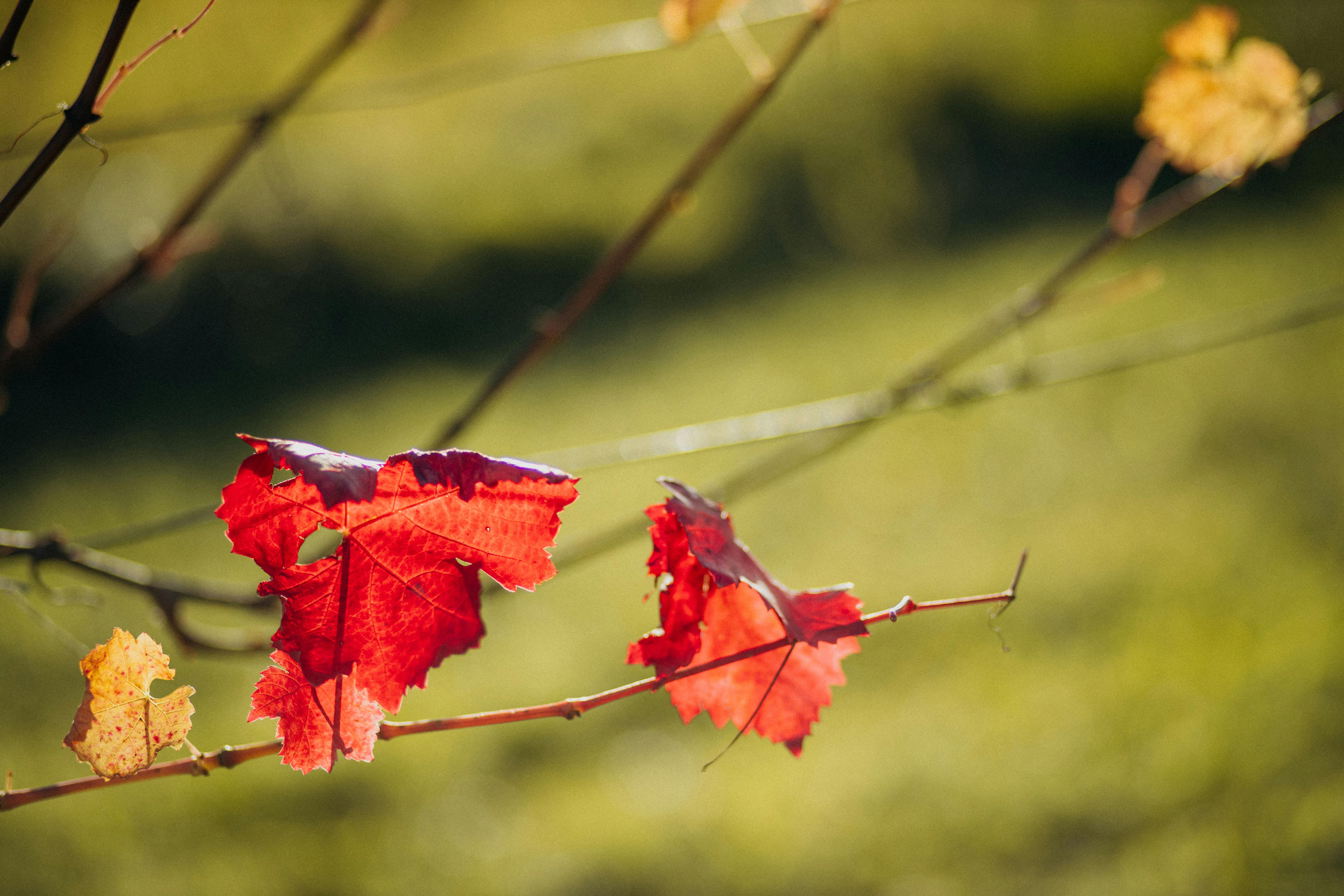 인스타그램 상위노출