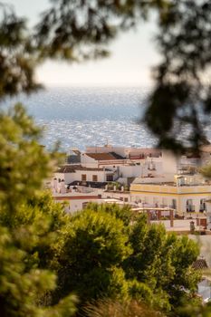 Picturesque view of Nerja's rooftops and sparkling sea through lush greenery.