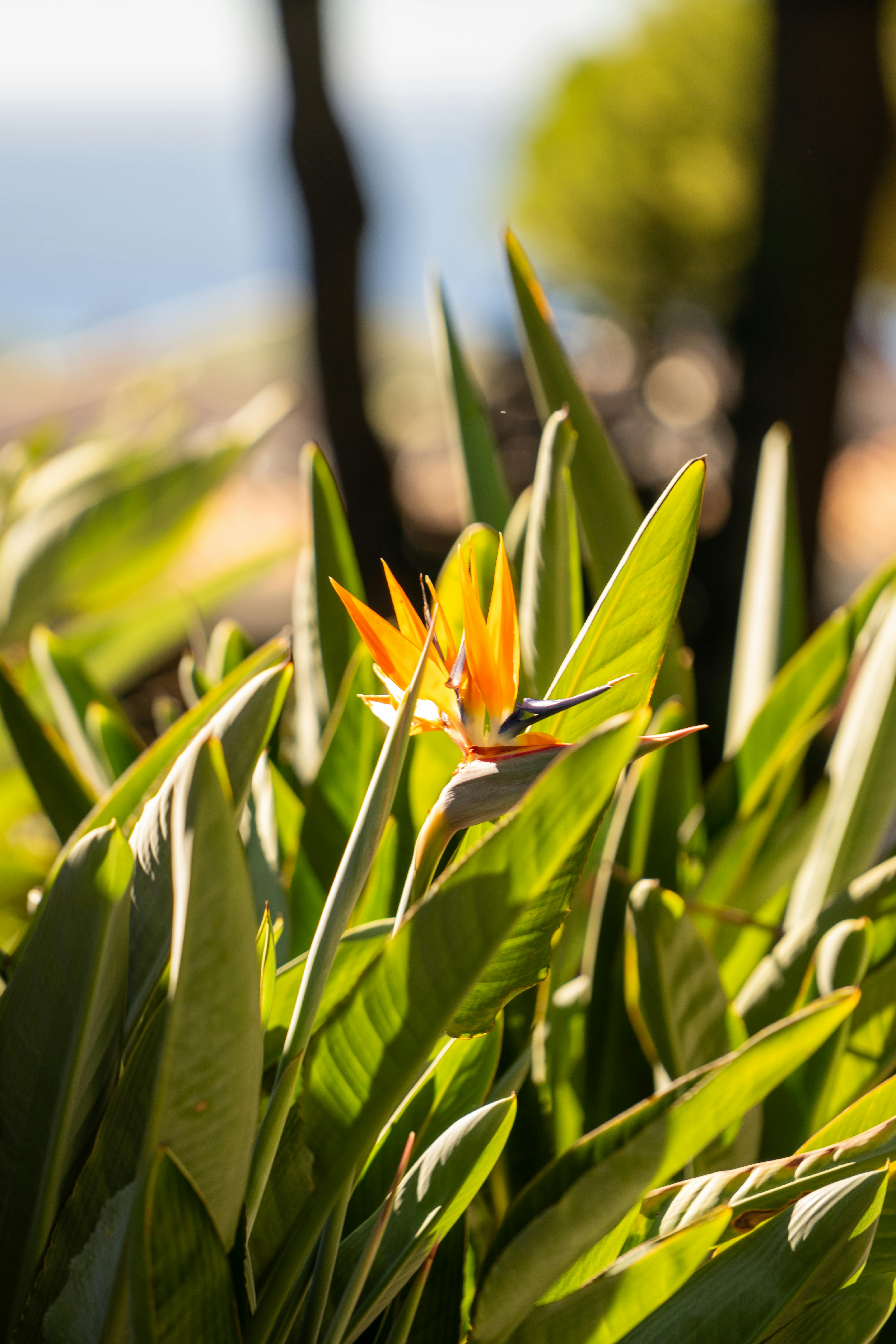 Kiralık Daire İçin Mobilya Seçiminde Kaçırılmaması Gereken 7 Altın Kural