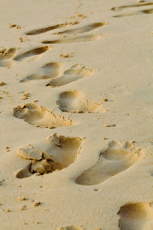 Free Series of human footprints leading into the distance on a sandy beach, suggesting a tranquil beach walk. Stock Photo