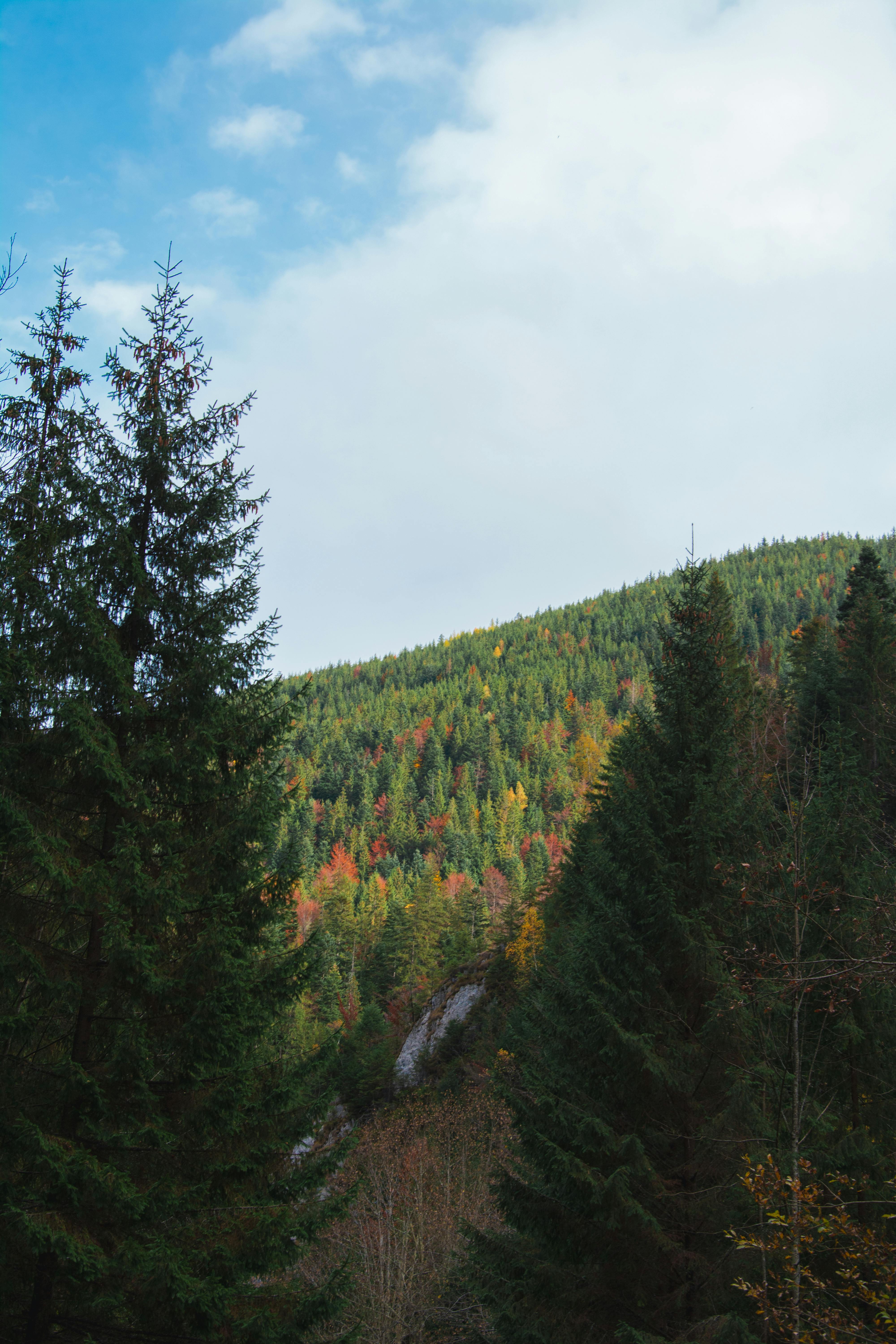 9 destinații de toamnă de neratat în Transilvania, inclusiv o bijuterie din județul Brașov