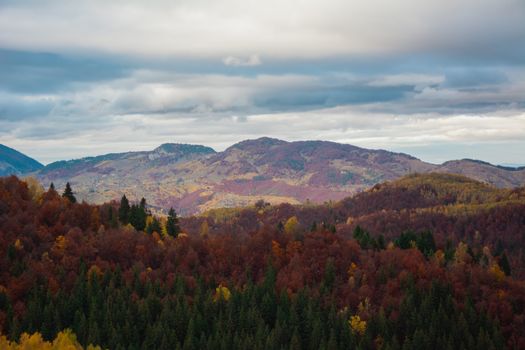 Stunning autumn vista of Carpathian Mountains in Moieciu de Sus, Romania with vibrant foliage.