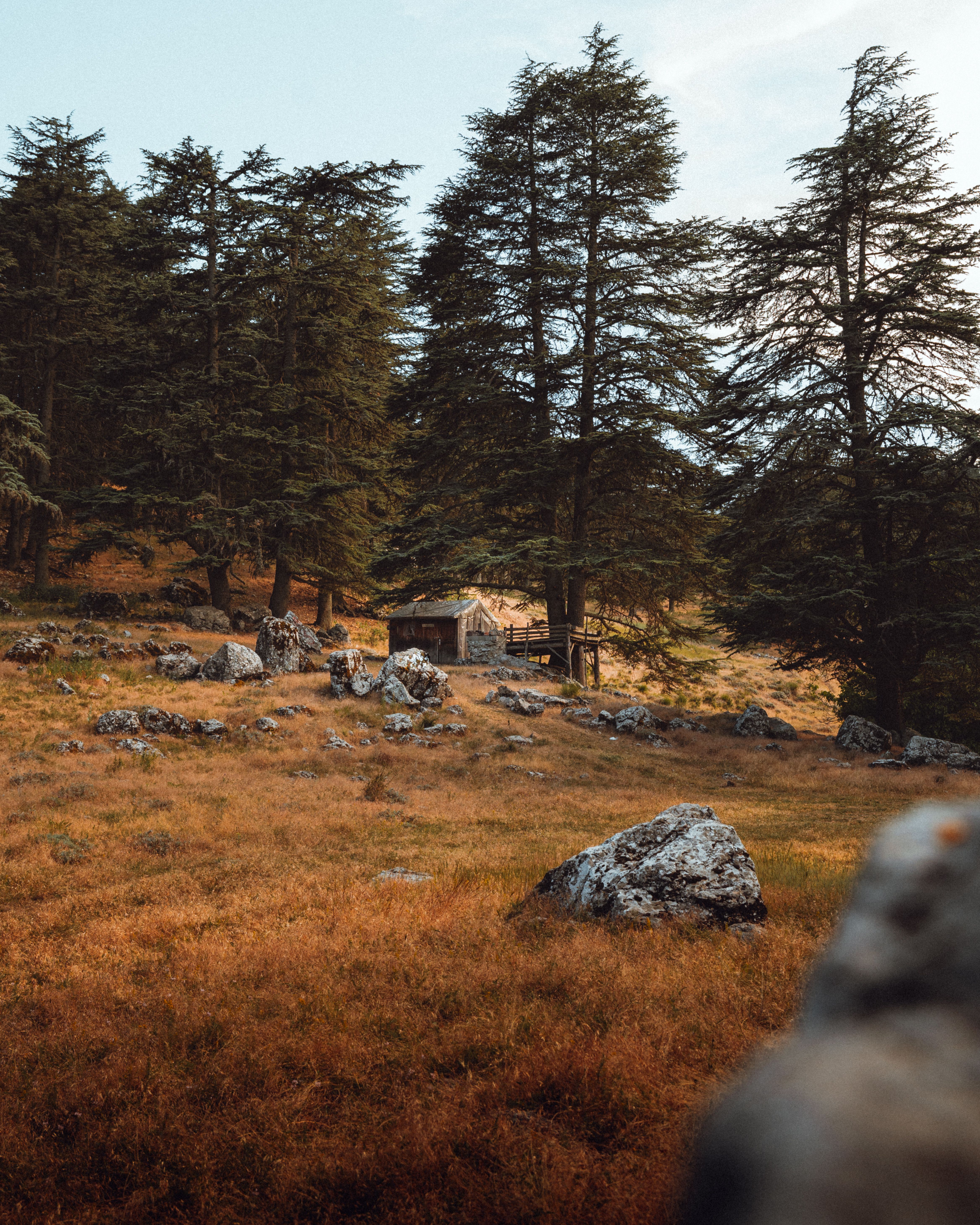 A tranquil cabin nestled in the lush forests of Antalya, Türkiye, during autumn.