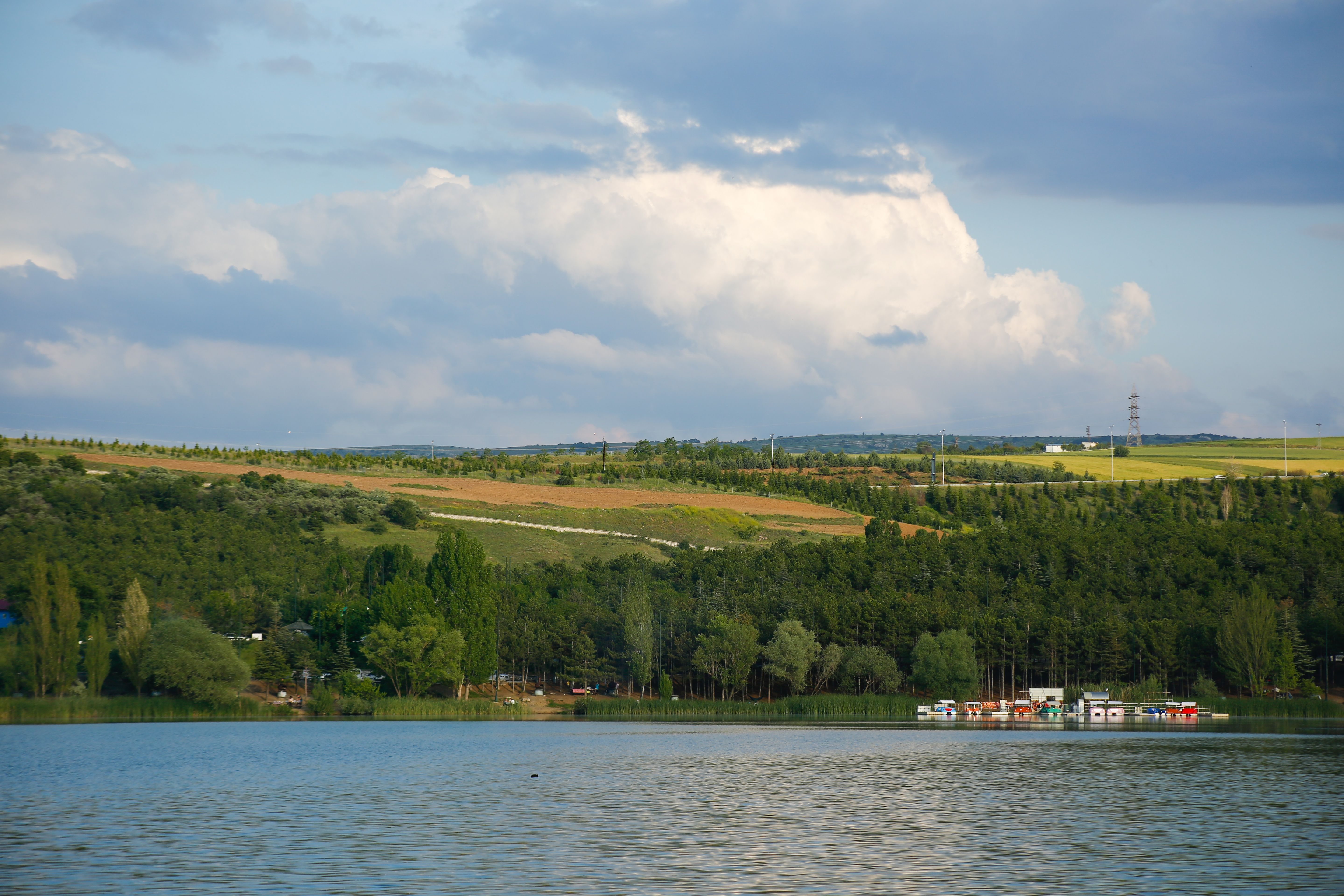 Peaceful Lake Landscape with Lush Greenery · Free Stock Photo