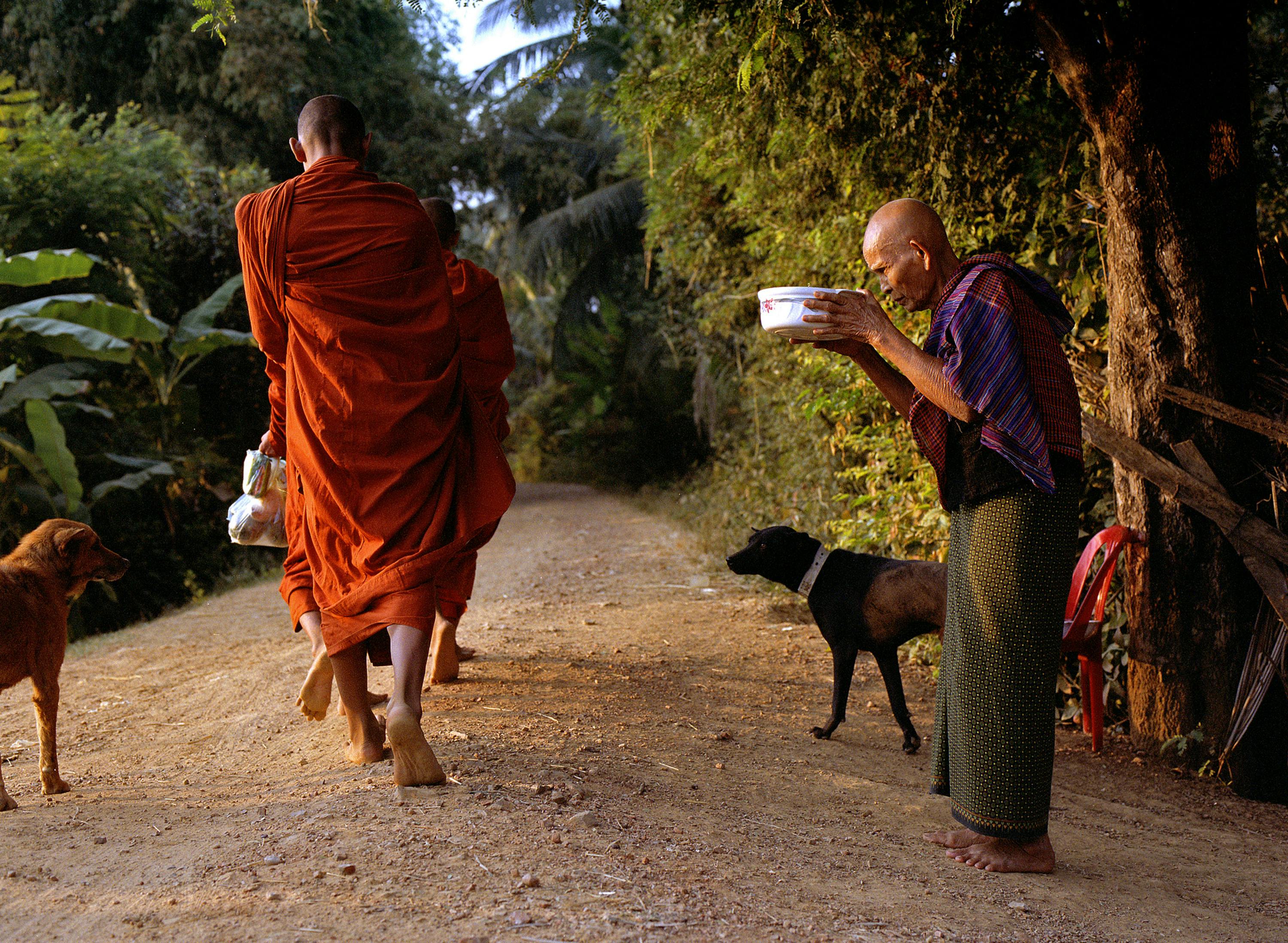Buddhist monks in orange robes walk barefoot on a rural path in Cambodia to receive alms from locals. - Battambang