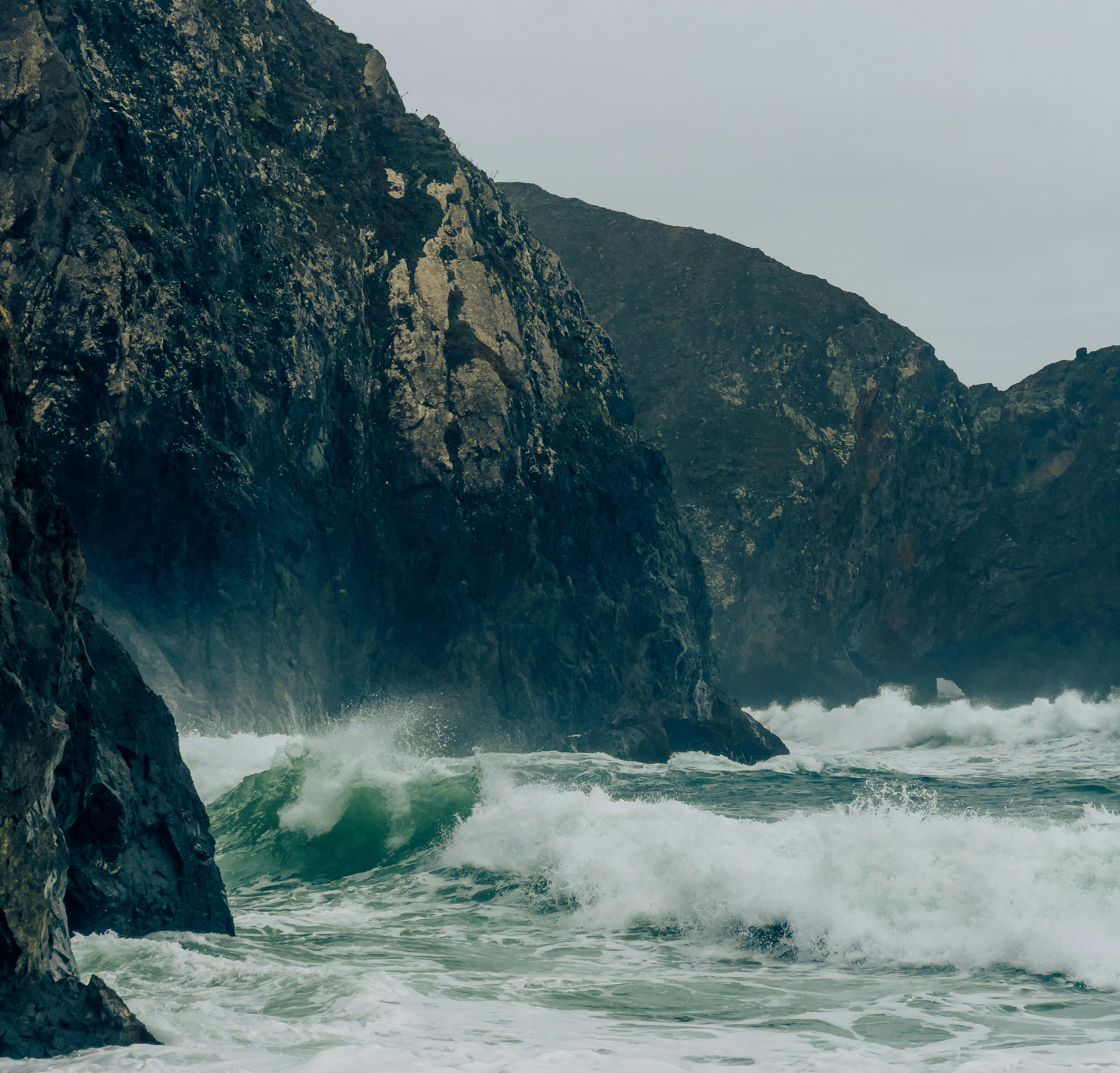 La Guérinière : une pépite pour la pêche aux coques pendant les grandes marées