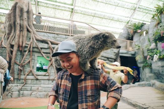 Man joyfully interacts with a binturong perched on his shoulder in an indoor zoo setting.