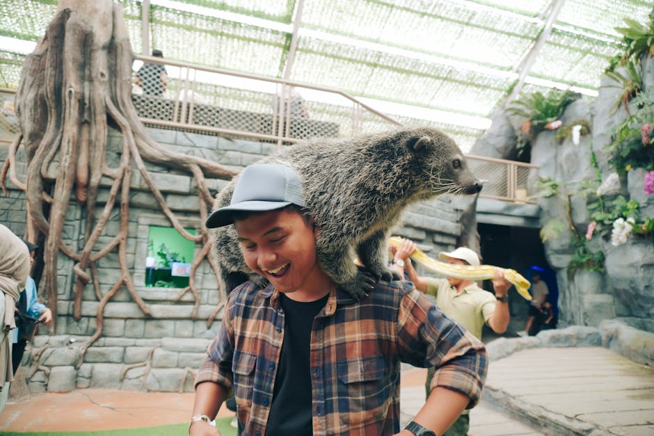 故宮南院百年院慶推英語學習 文物故事融入生活與課堂