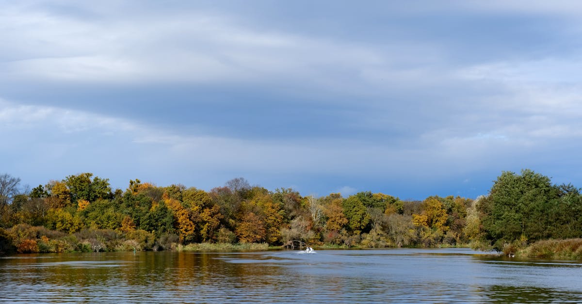 財經:財報前夕微軟Azure與365大當機 緊急搶修中