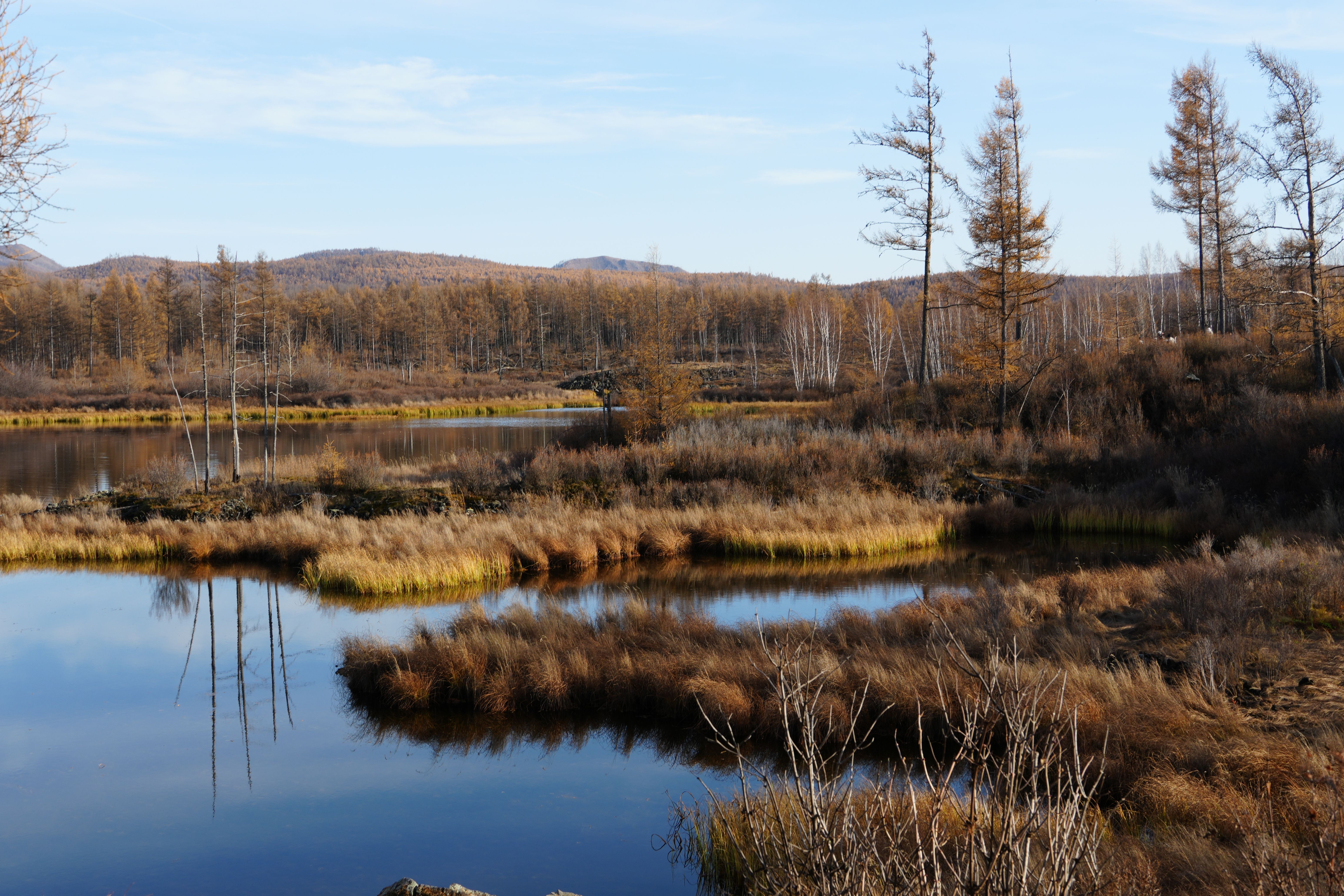 Serene Autumn Landscape with Reflective Pond · Free Stock Photo