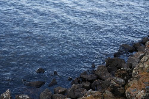 Free A serene view of a rocky shoreline meeting calm water on a clear day. Stock Photo
