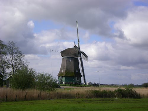 Free stock photo of grass, holland, netherlands