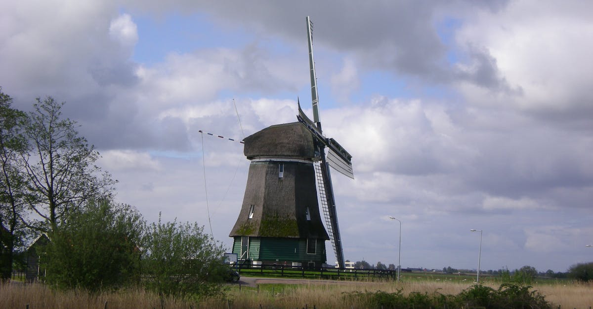 Free stock photo of grass, Holland, netherlands