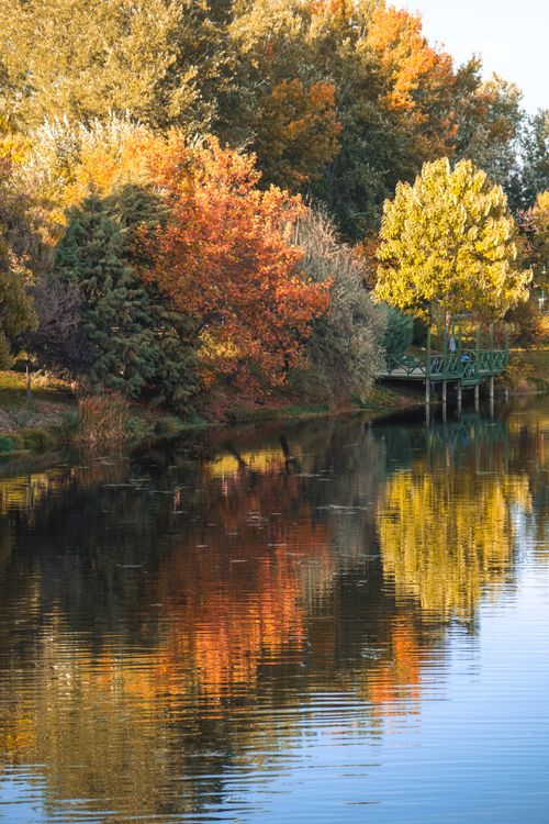 Free Scenic view of autumn foliage reflecting on a serene lake, showcasing vibrant fall colors and a peaceful atmosphere. Stock Photo
