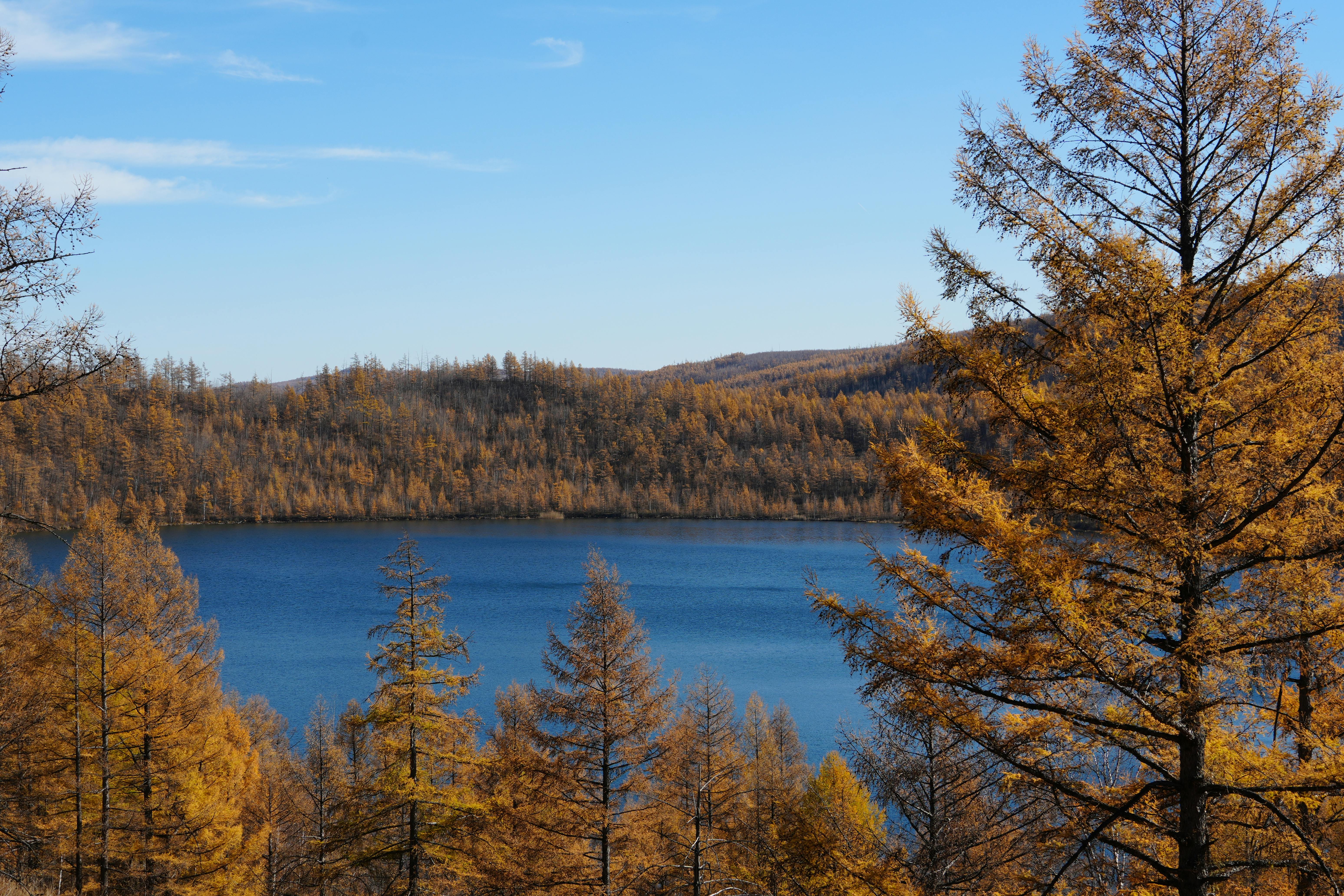 Captivating view of a lake surrounded by vibrant autumn trees under a clear blue sky.