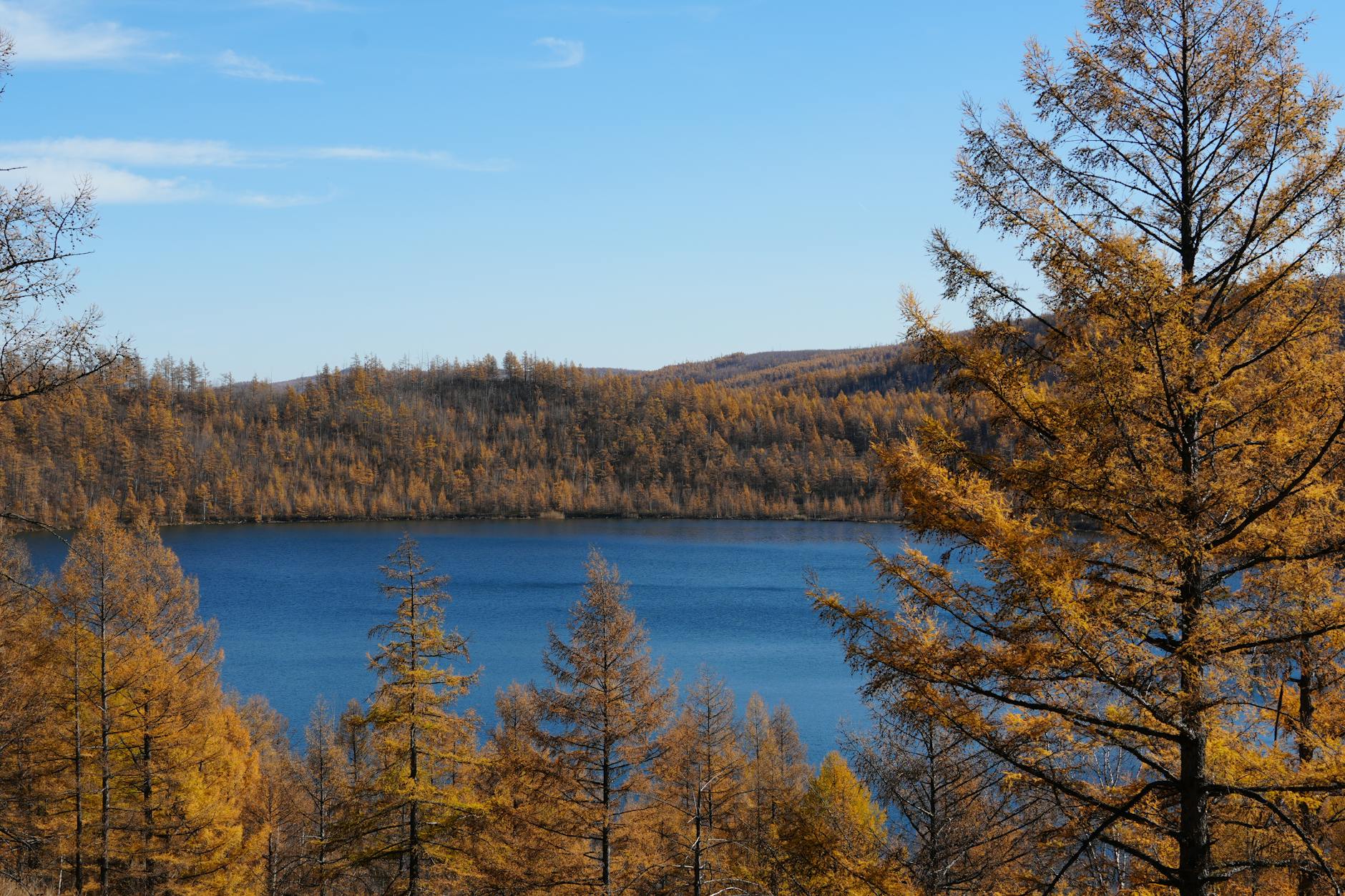 Captivating view of a lake surrounded by vibrant autumn trees under a clear blue sky.