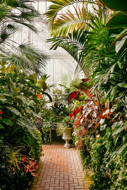 Explore the vibrant greenery and tropical plants in the Biltmore Estate conservatory.