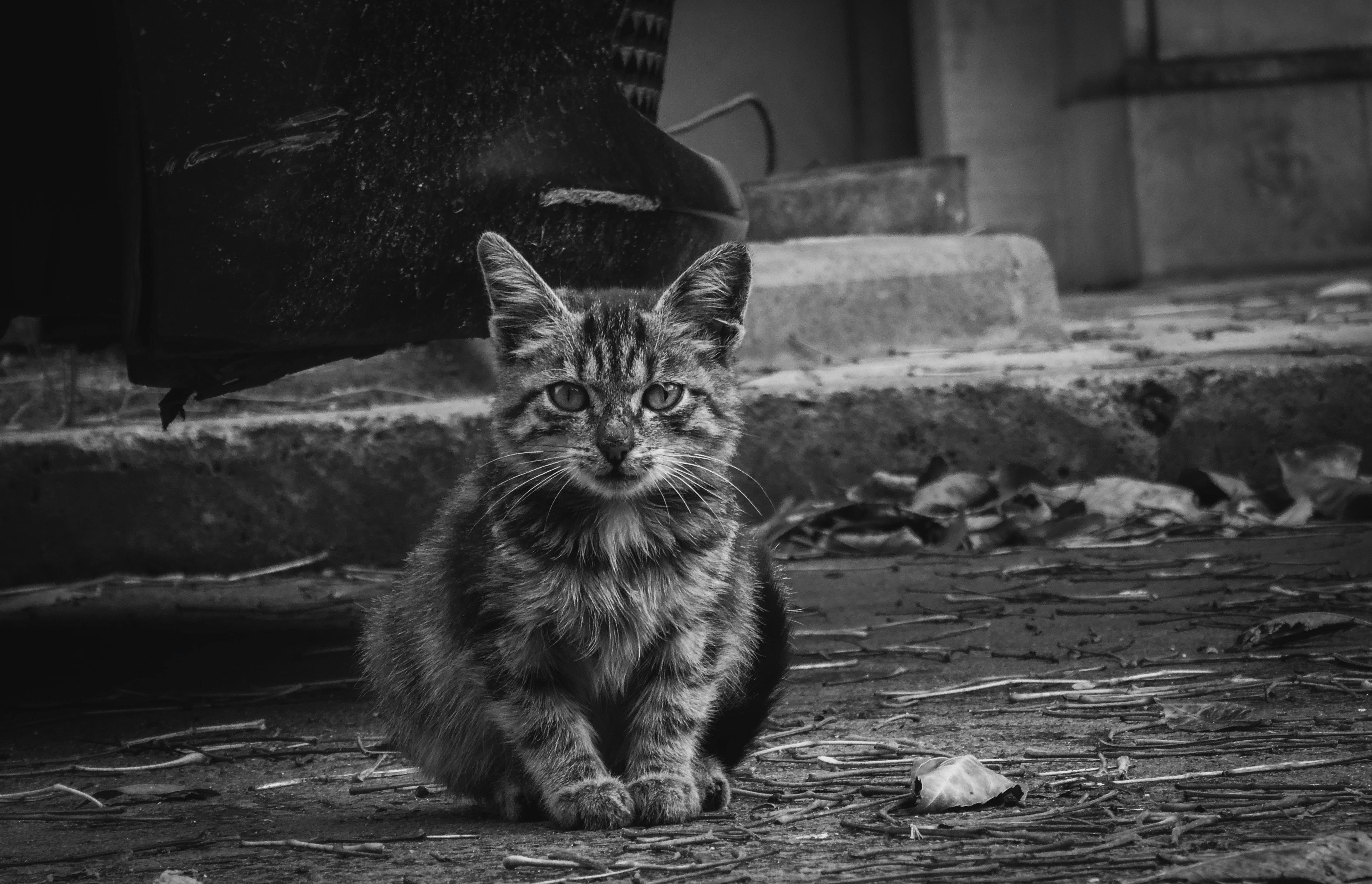 《生活是什麼感覺》：探索日常的真實體驗與心靈共鳴