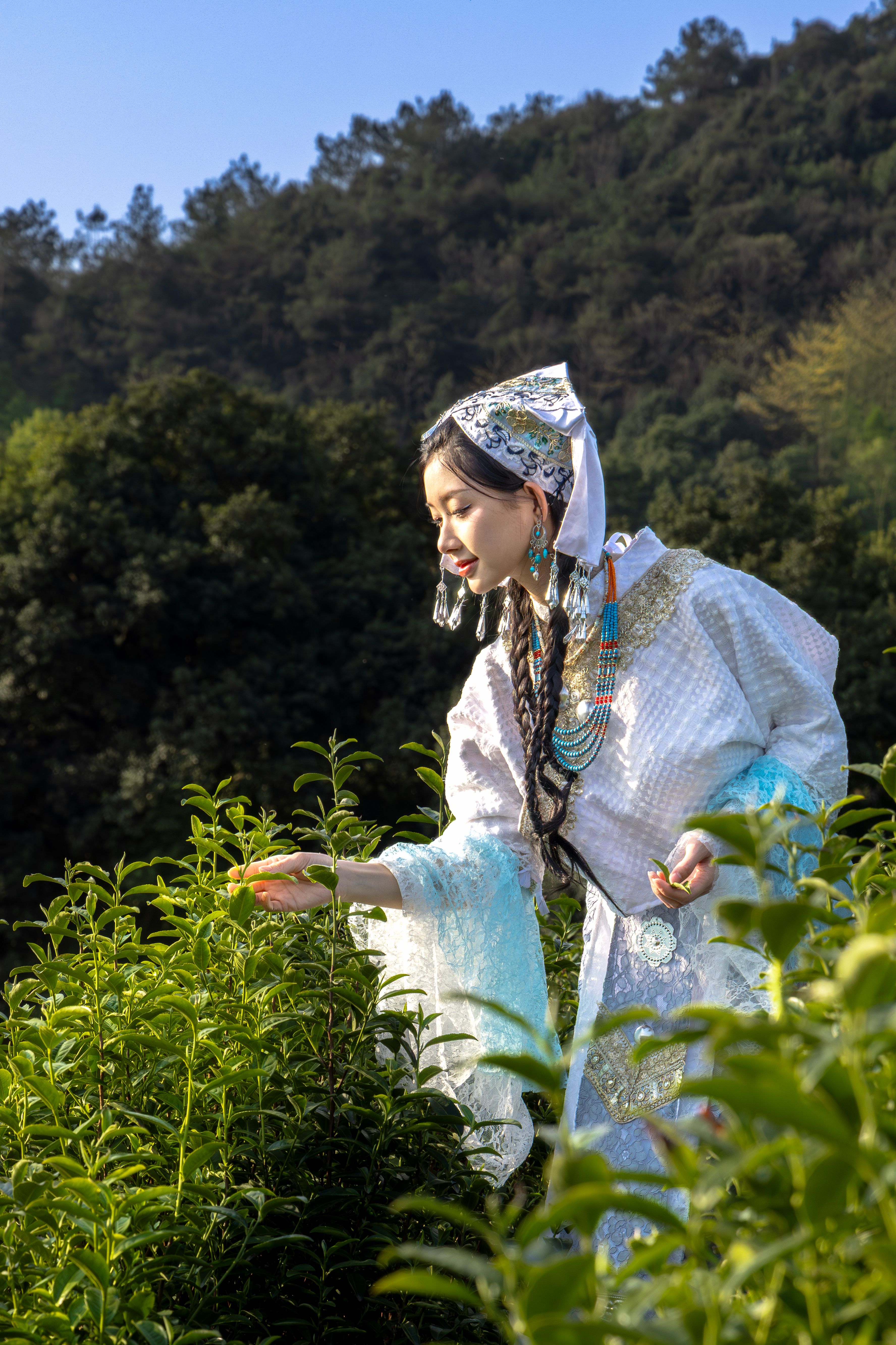 A woman in traditional attire harvesting plants outdoors in a lush landscape.