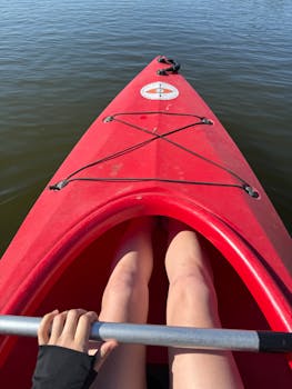 免费库存照片：皮艇、河流和游泳