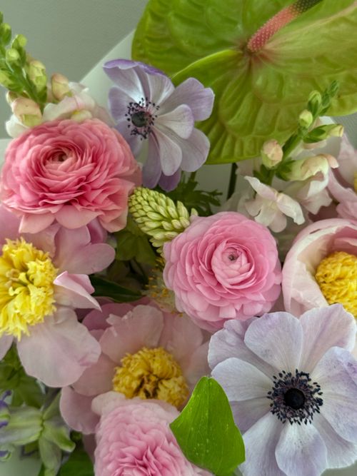 Free Close-up of colorful spring flowers including Ranunculus, Anemone, and Snapdragons. Stock Photo