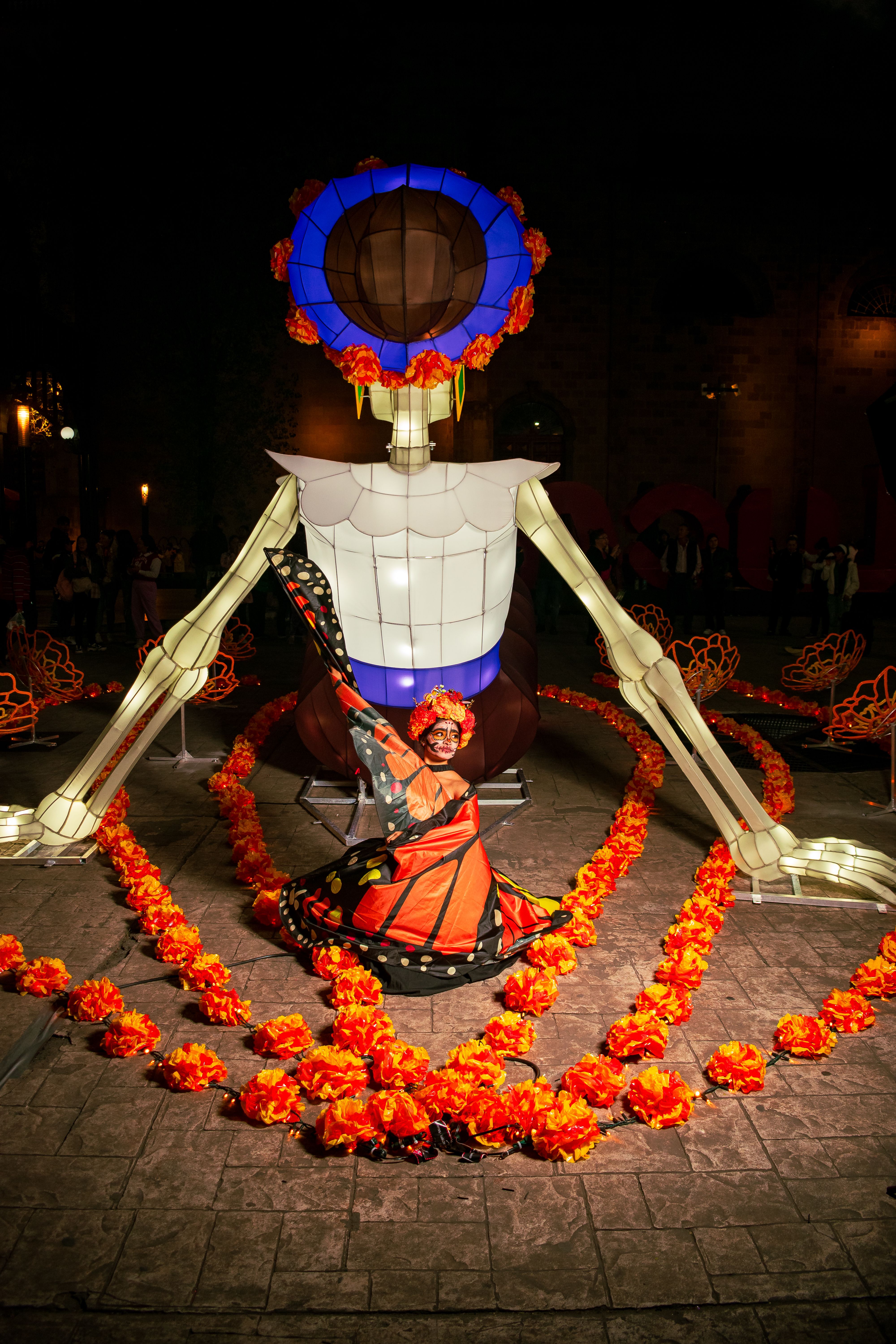 Mariposa Catrina Toluqueña En El Morado Atardecer · คลังภาพถ่ายฟรี