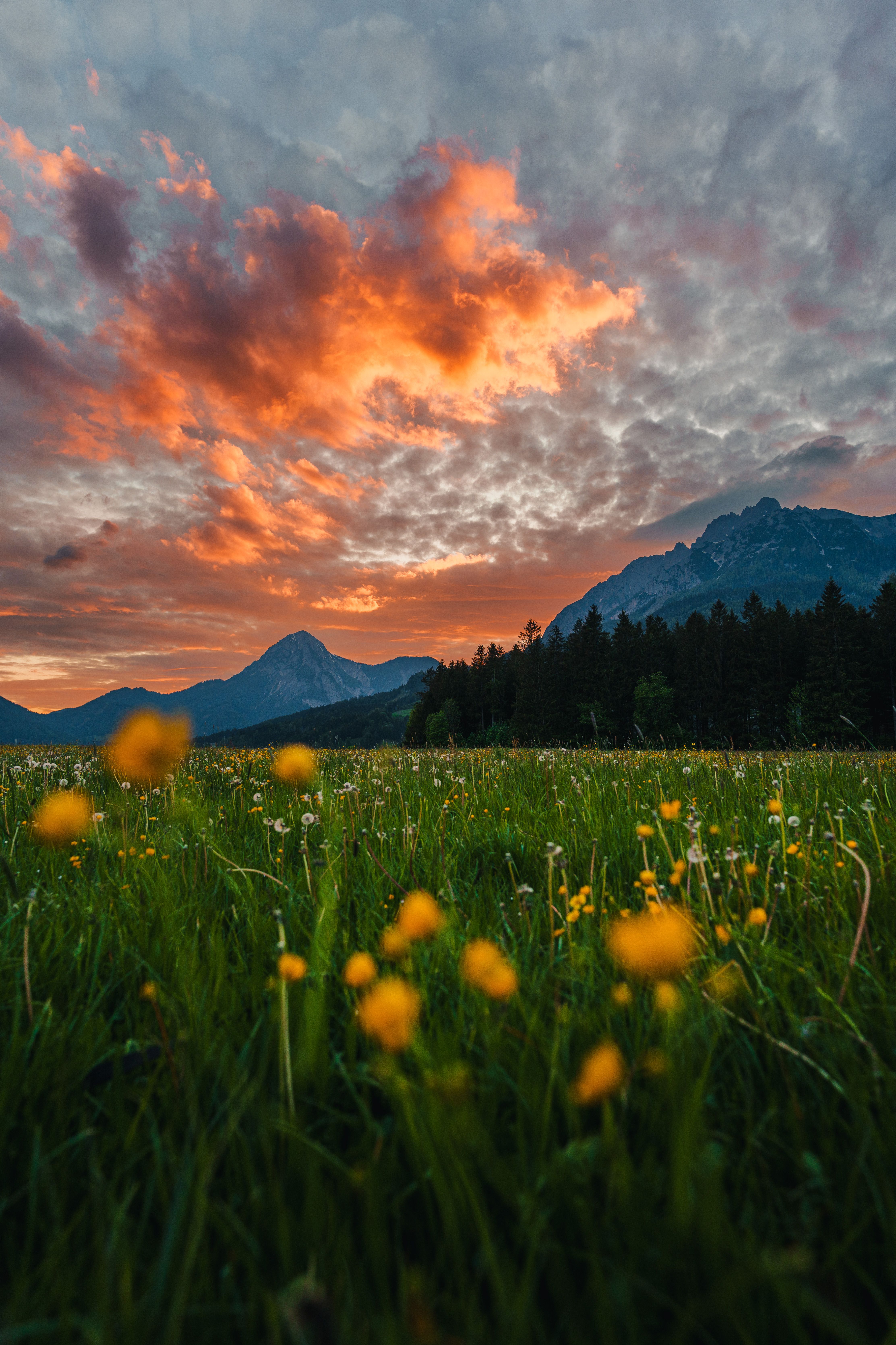 Stunning sunset view over Ennstal with vibrant skies and lush meadow foreground.