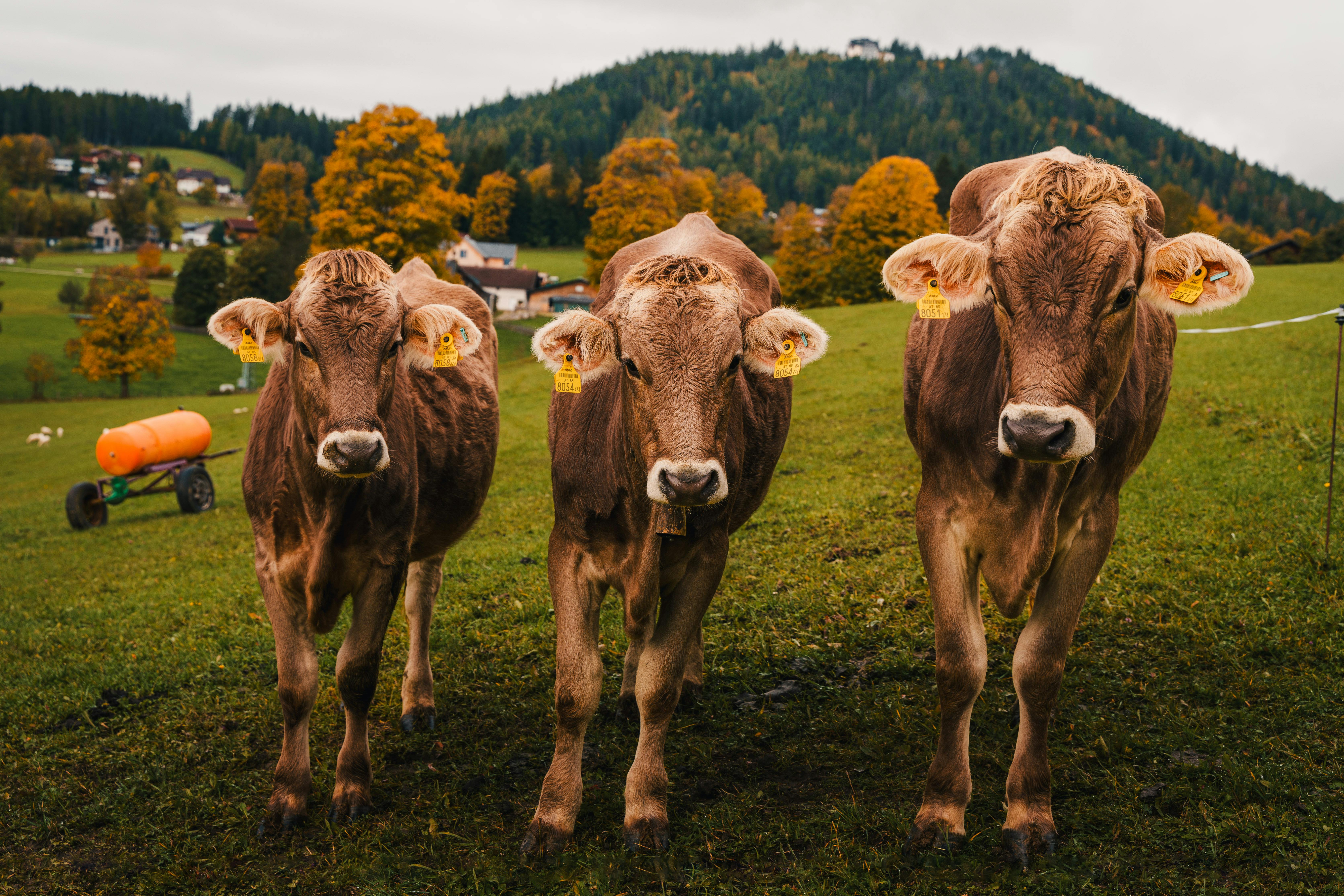 Focus on Sustainable Tourism