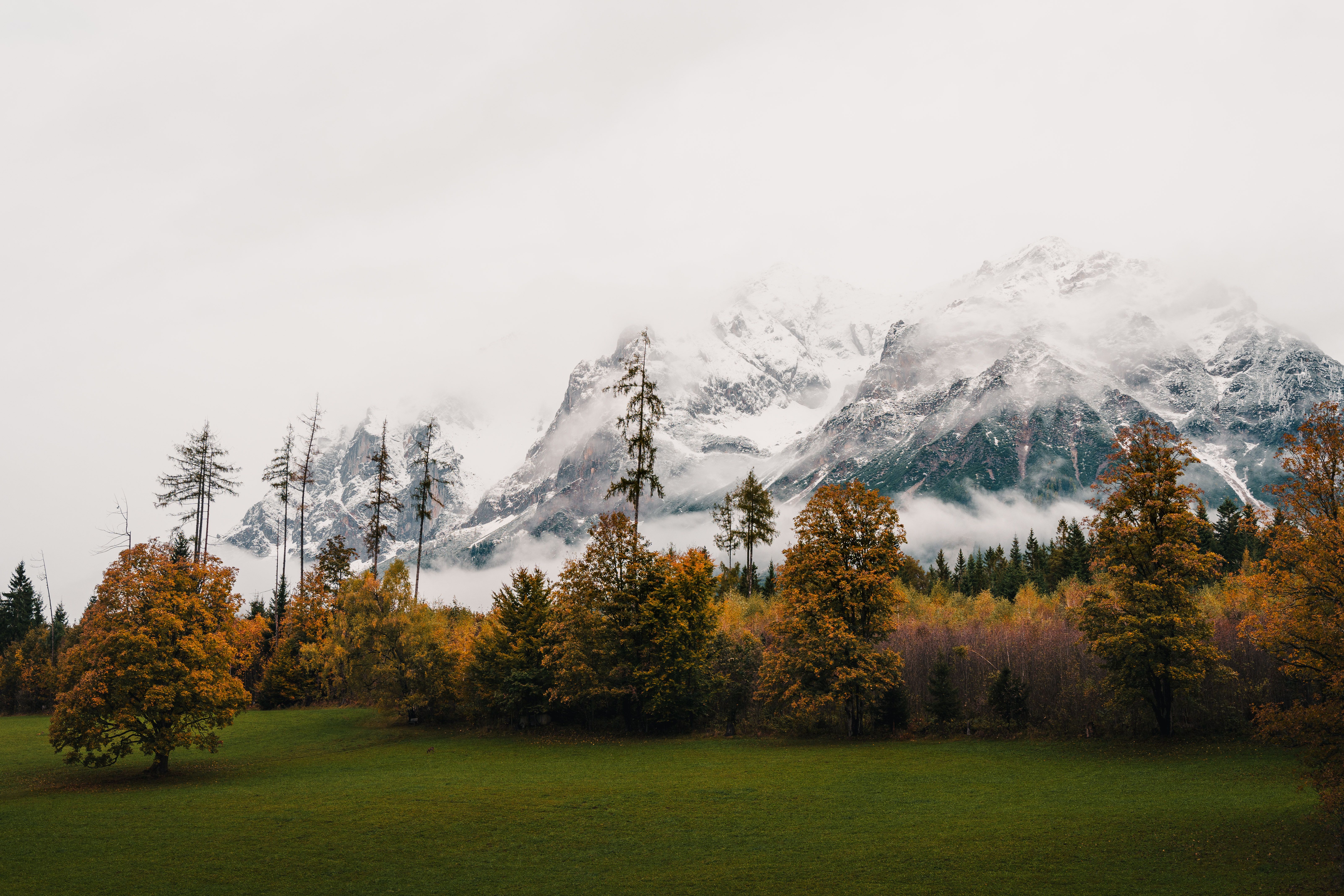 Majestic Alpine Autumn Landscape in Styria · Free Stock Photo