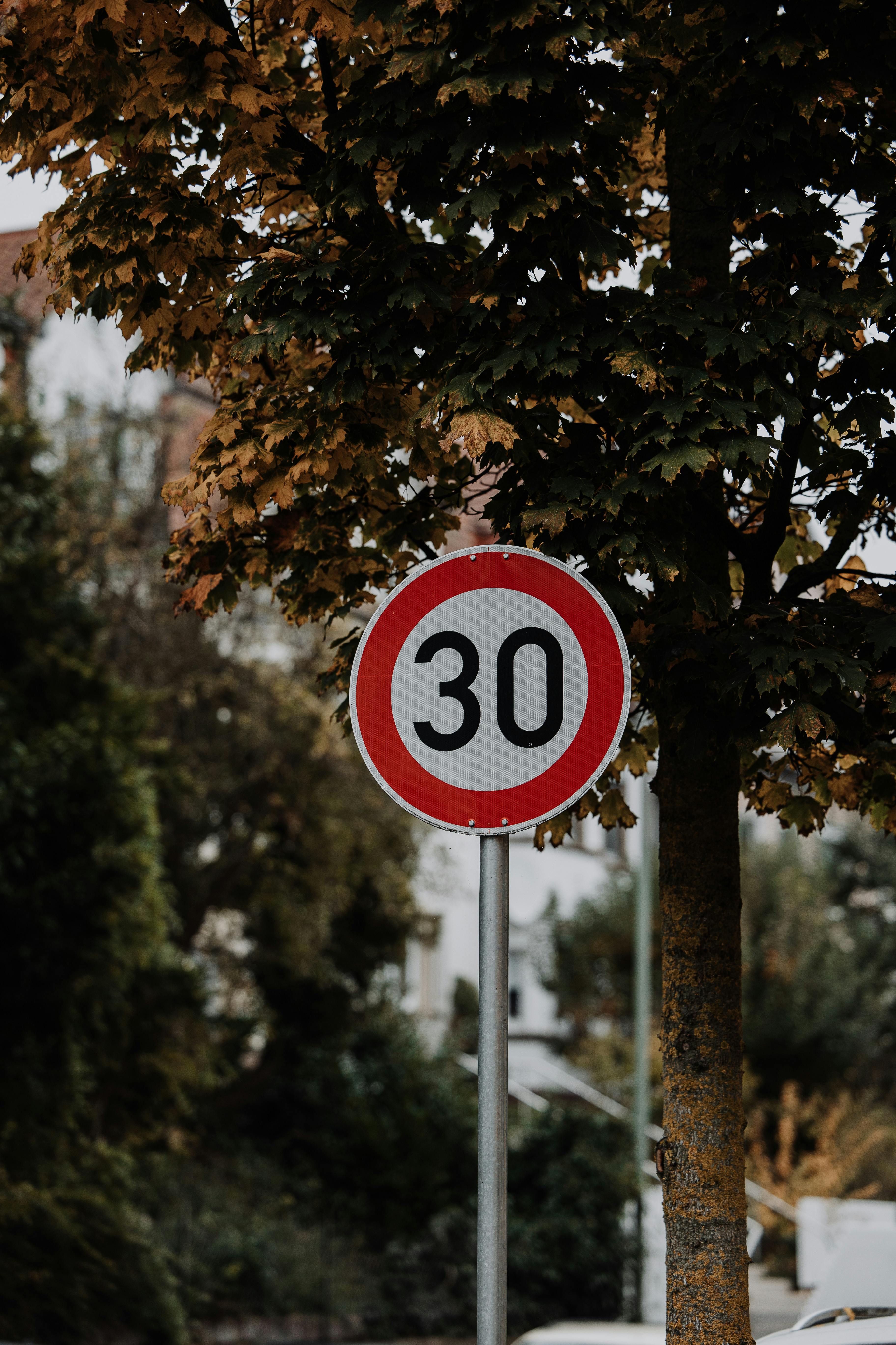 Speed limit sign displaying 30 in an autumn setting with trees.