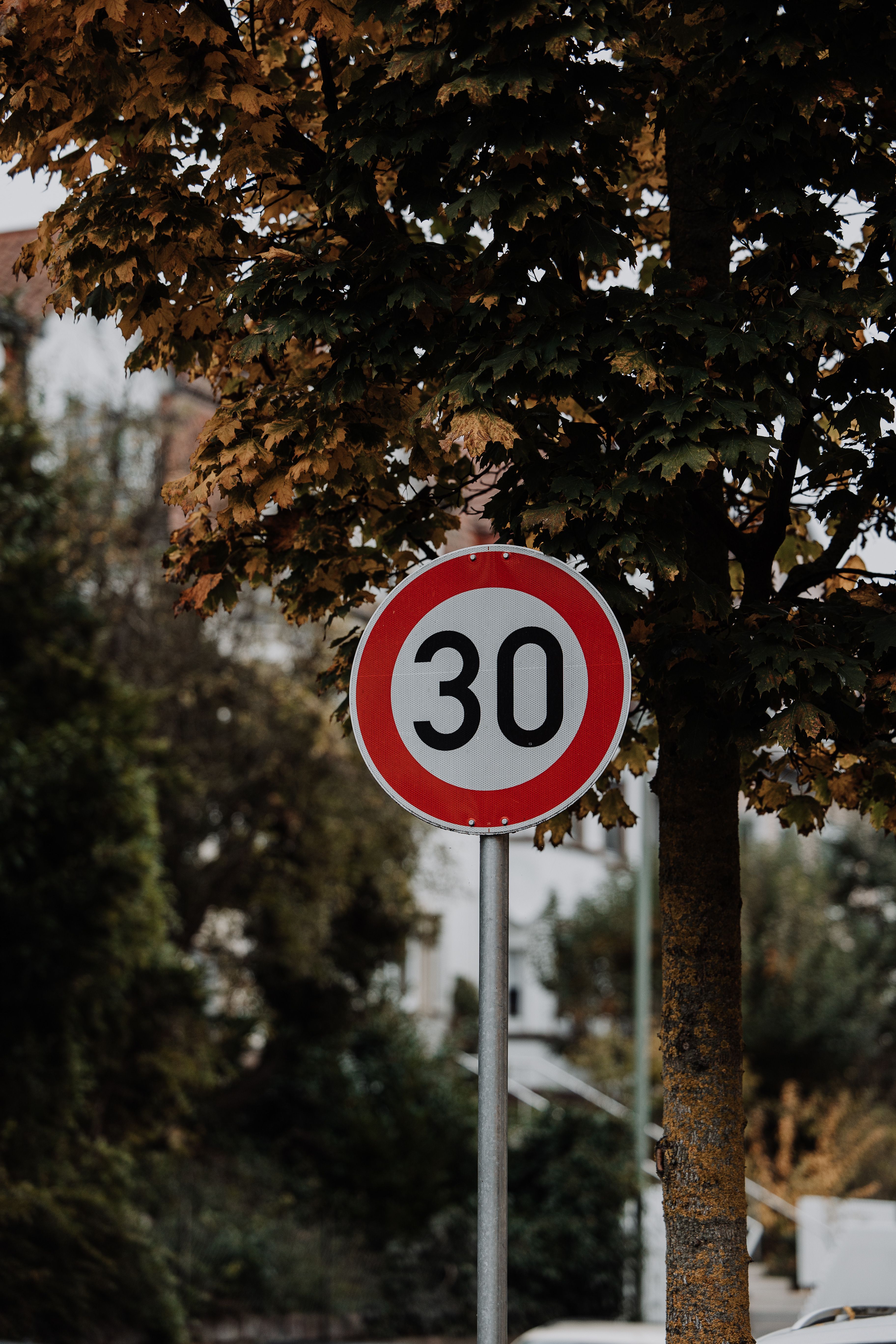 Speed Limit 30 Sign in Autumn Setting · Free Stock Photo