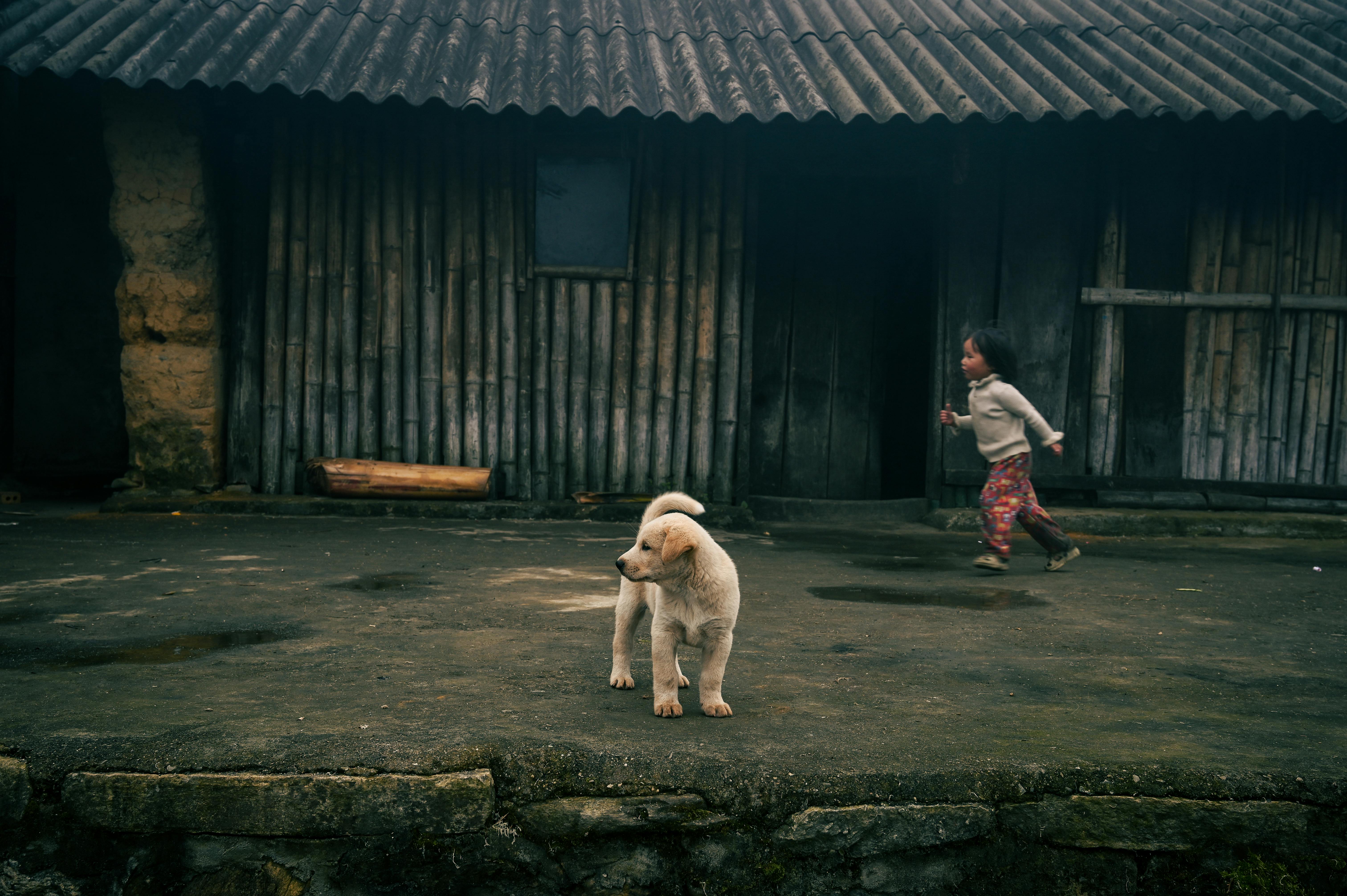 生活：故宮攜手英語教材 將文物故事融入孩子日常學習