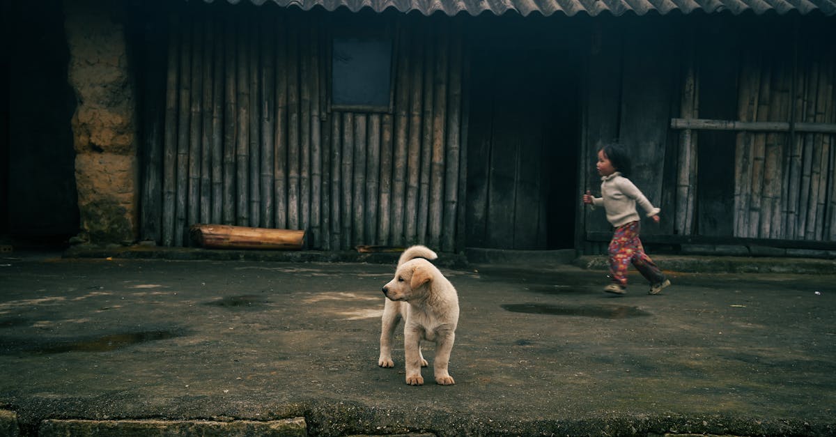 兩岸生活誌:深入探索海峽兩岸文化與日常
