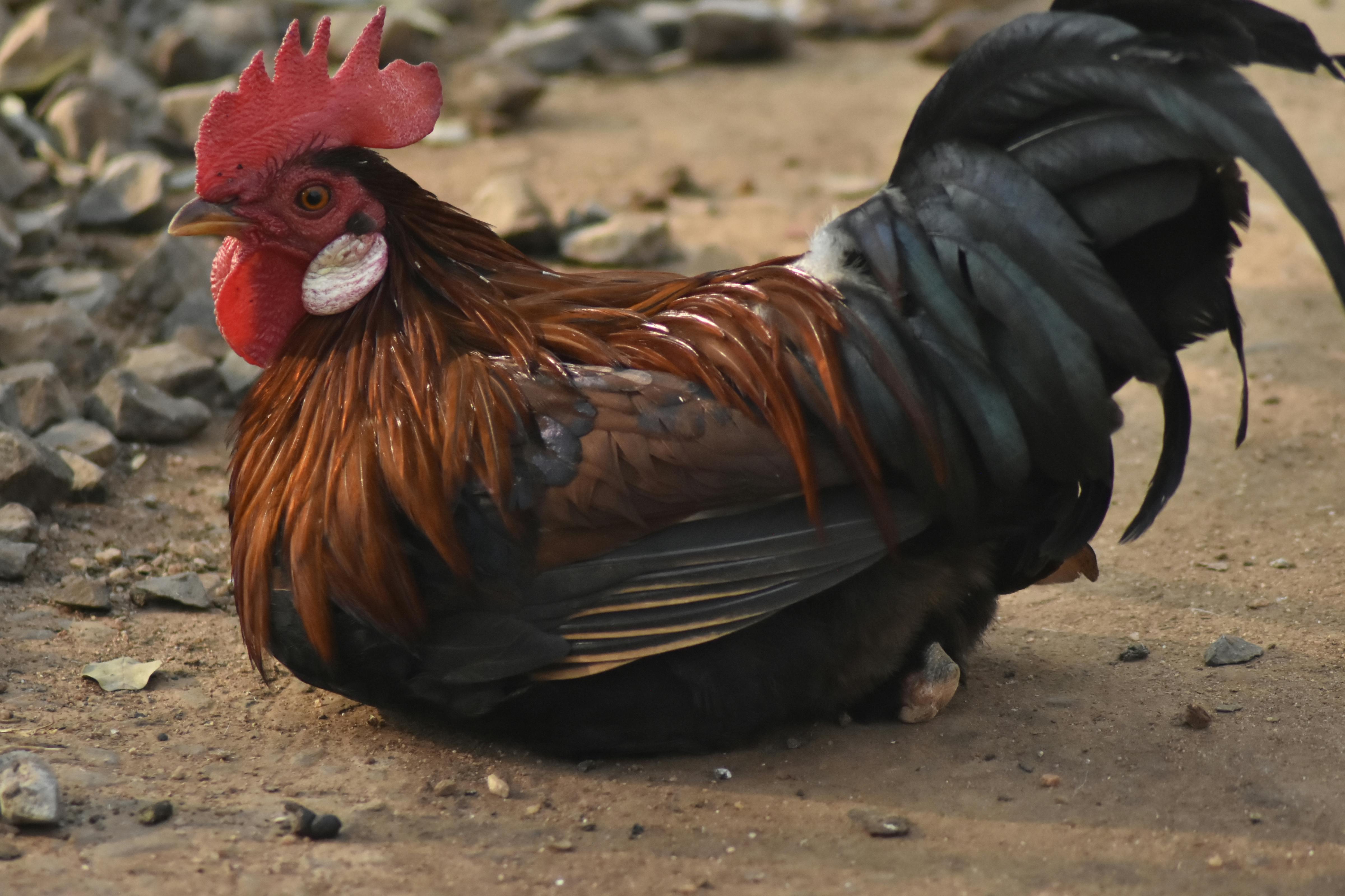 科技股熱潮持續推動美股四大指數小幅上揚 台指期盤後回落165點