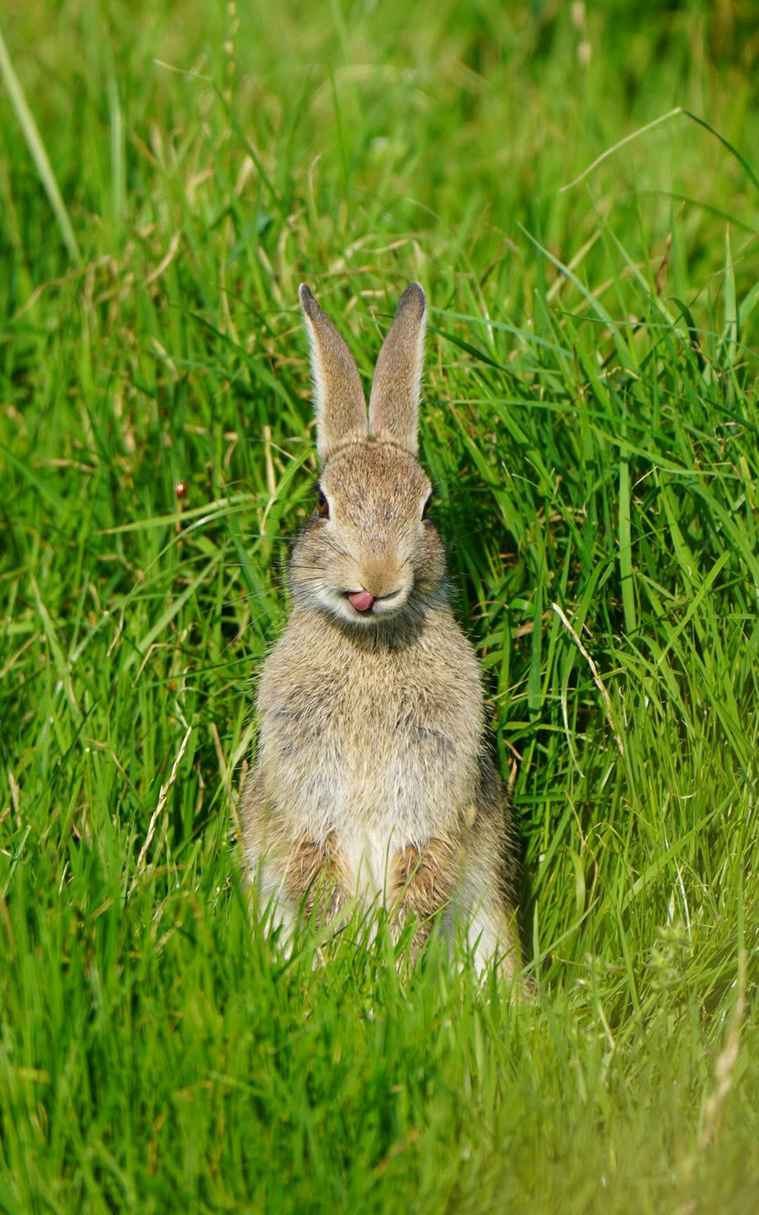Närbild av spelautomat med neonljus och spelknappar