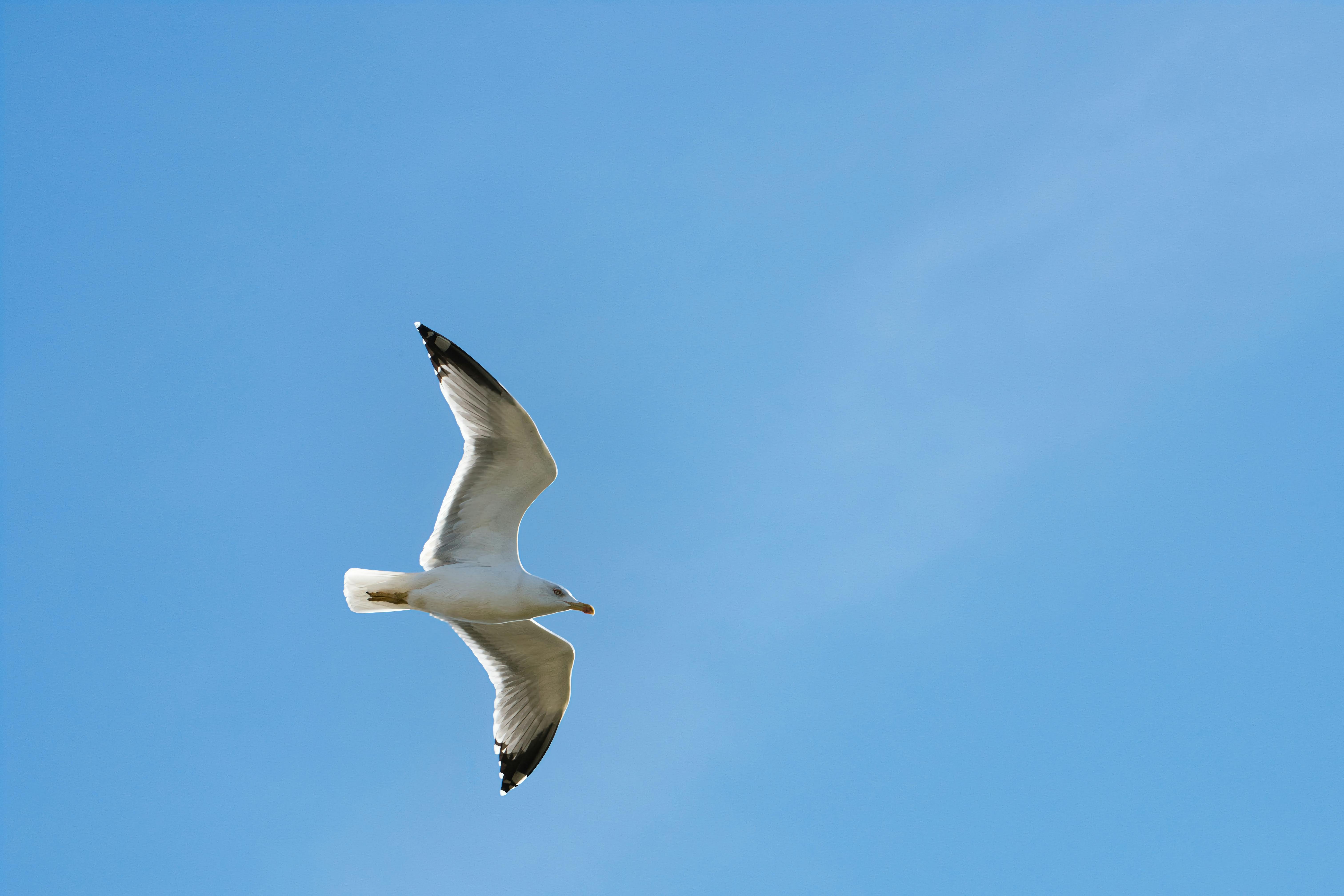 How to Enhance Brain Memory Without Drugs