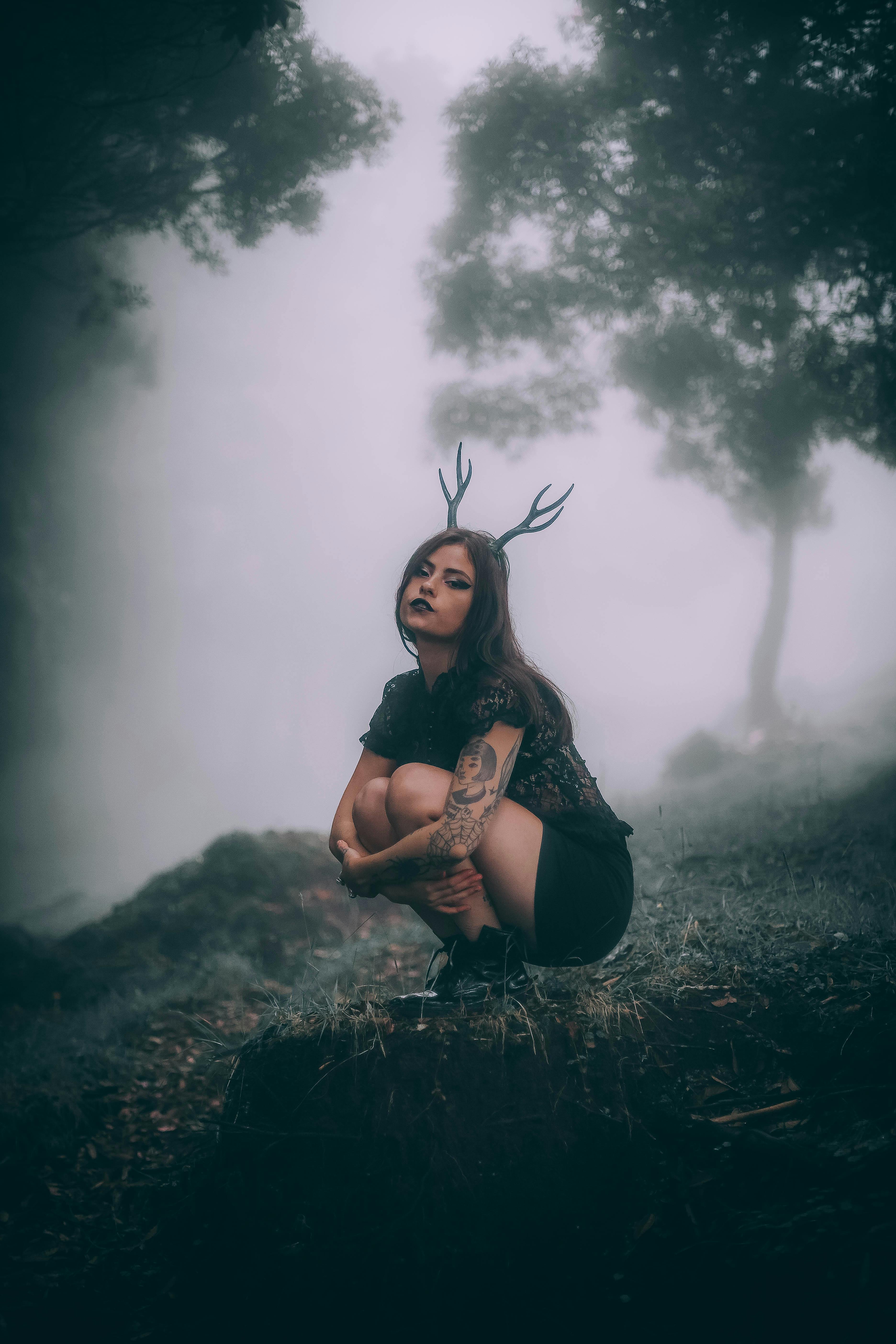 무료 데비 스톡 사진