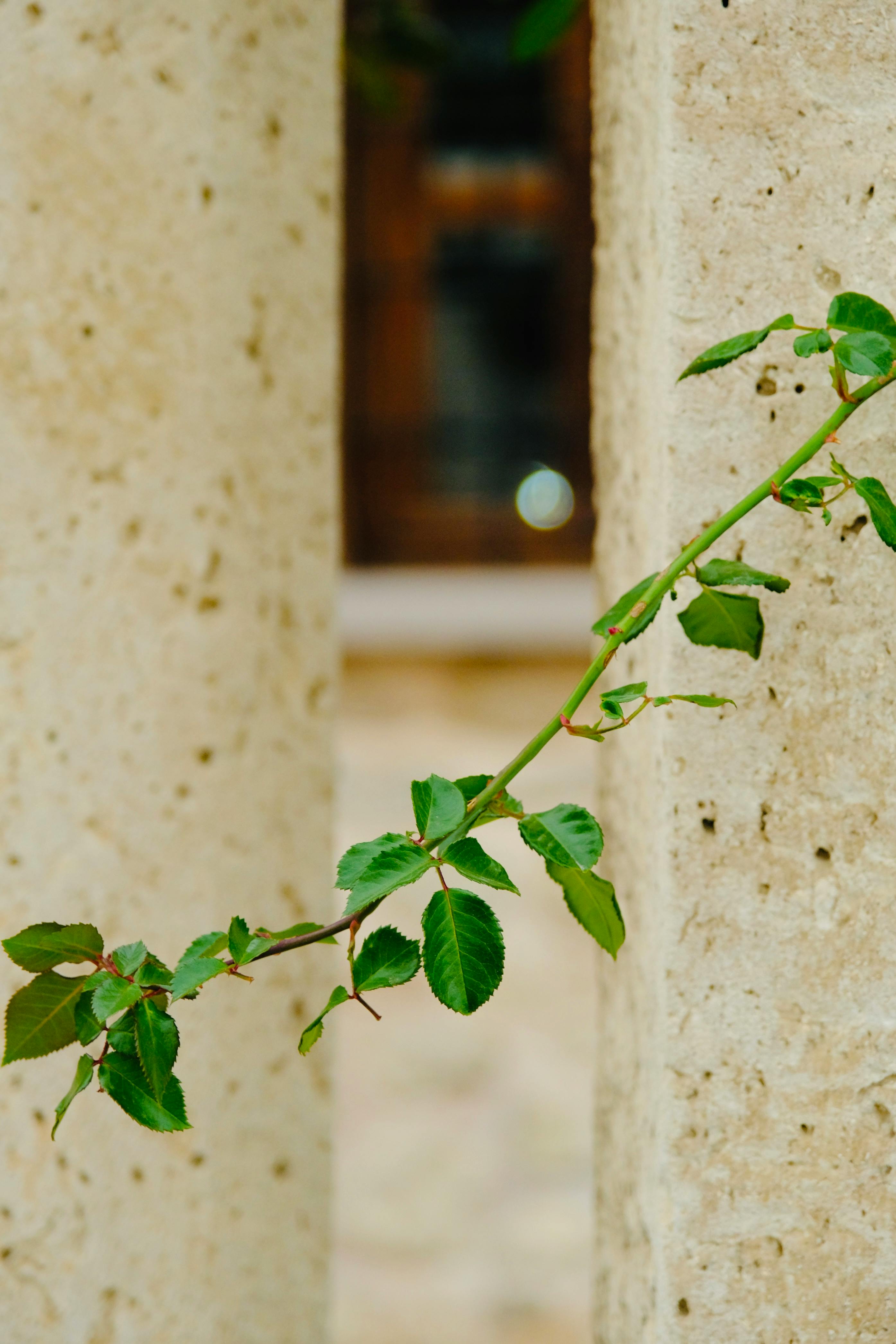 DR88 có lừa đảo không? Sự thật phía sau tin đồn