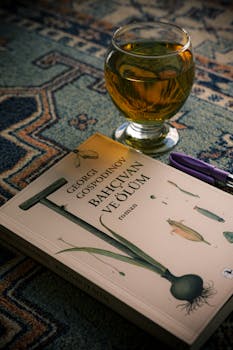 A comforting scene with a book, tea, and pen on a patterned carpet. Ideal for reading enthusiasts.